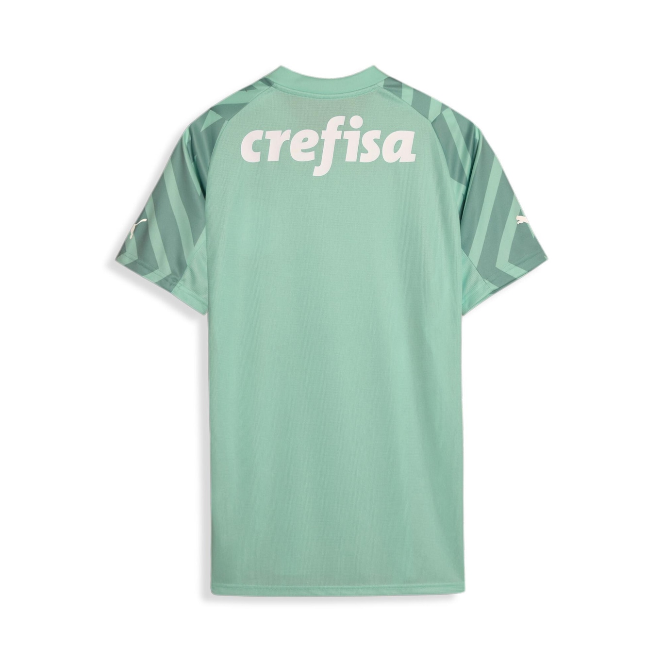 Camisa de Goleiro 2 do Palmeiras Away Torcedor 24/25 Puma - Masculina - Foto 2