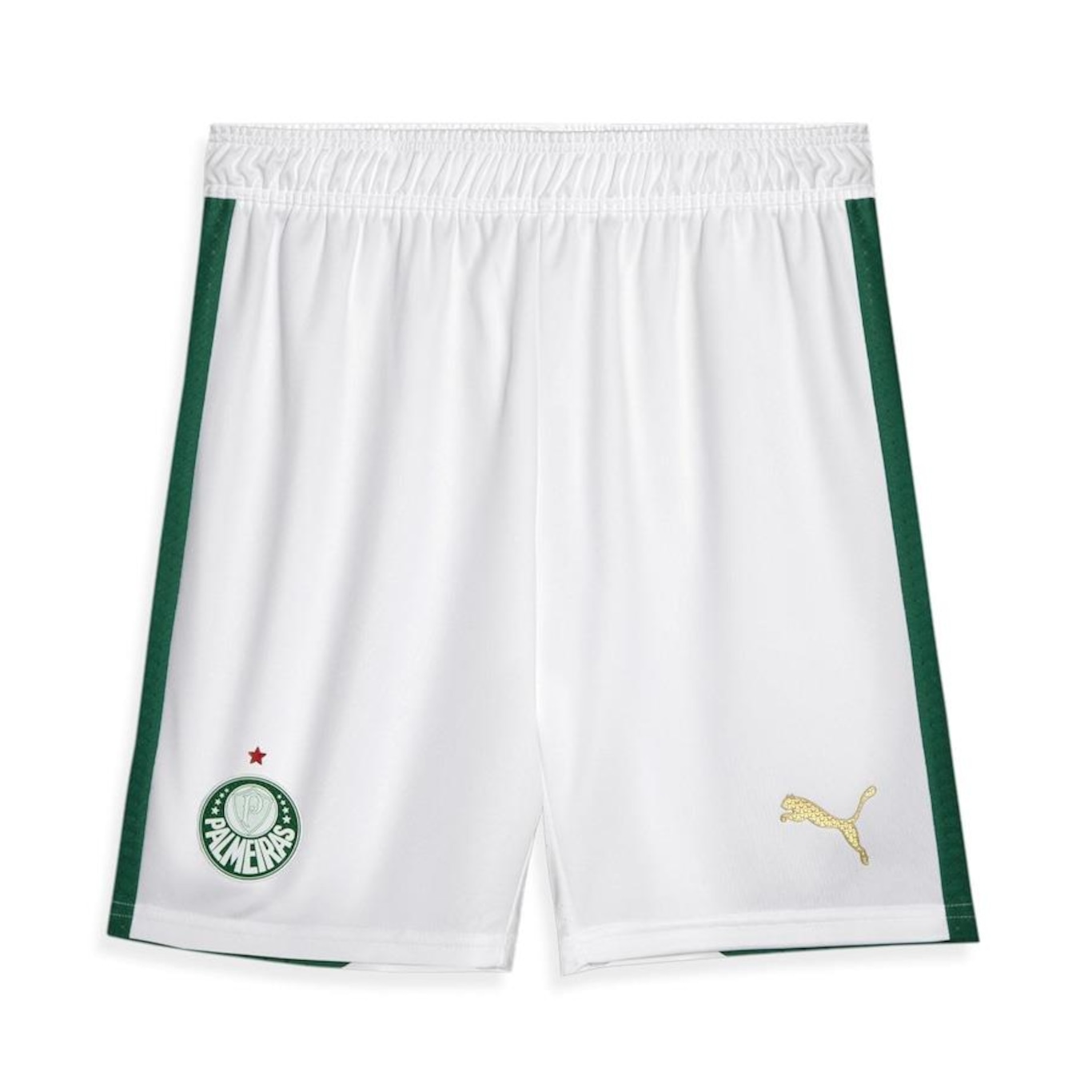 Calção do Palmeiras 1 Home Jogador 24/25 Puma - Masculino - Foto 1