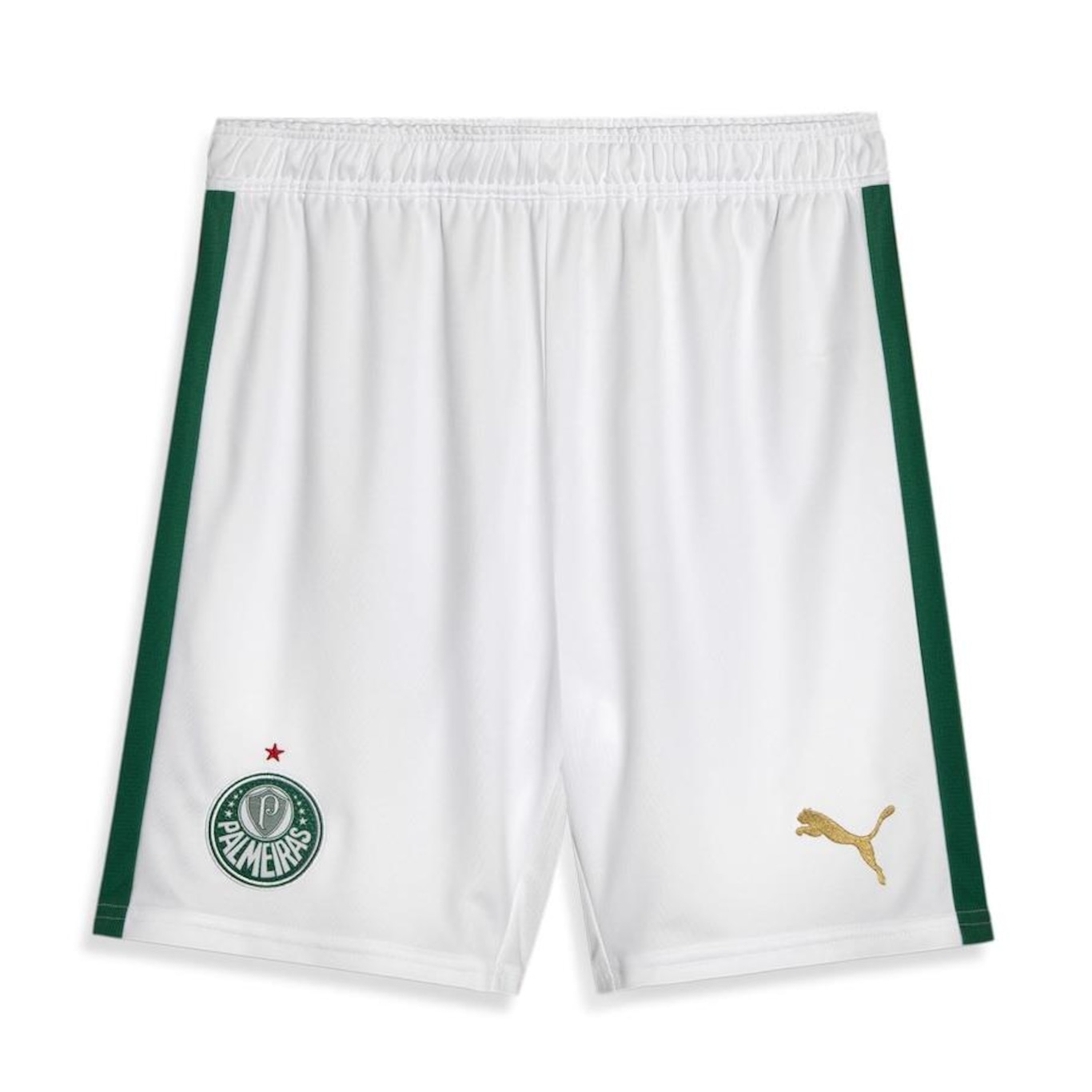 Calção do Palmeiras 1 Home Torcedor 24/25 Puma - Masculino - Foto 1