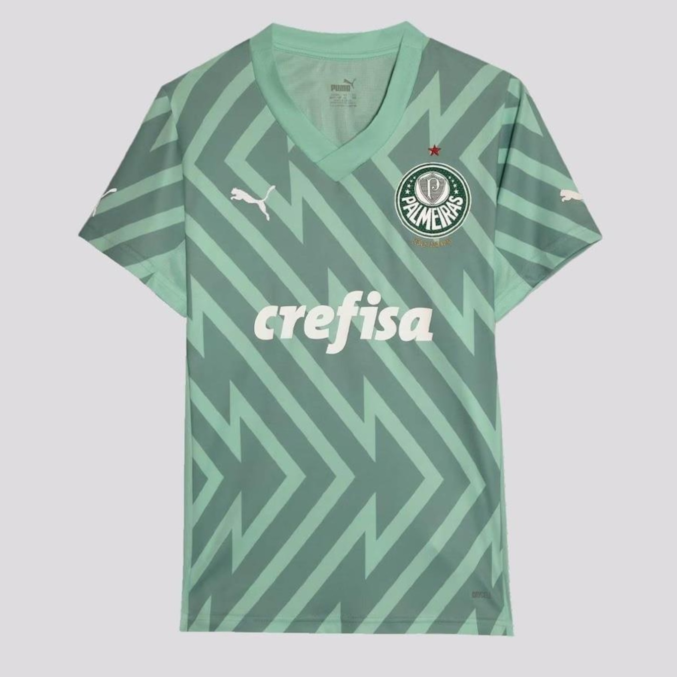 Camisa do Palmeiras II 2024 Puma Goleiro - Infantil - Foto 1