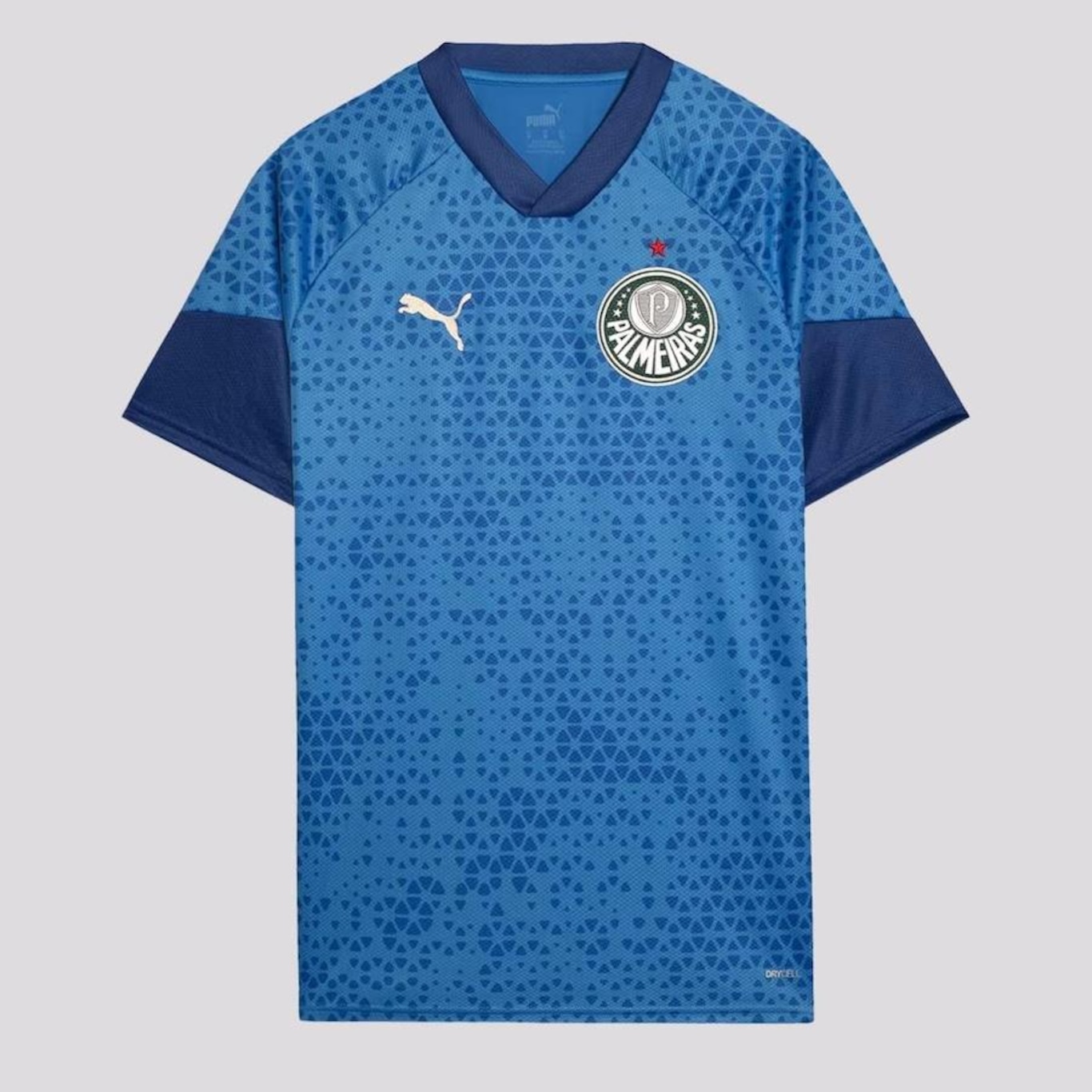 Camisa Puma Palmeiras Treino 2024 - Masculina - Foto 1