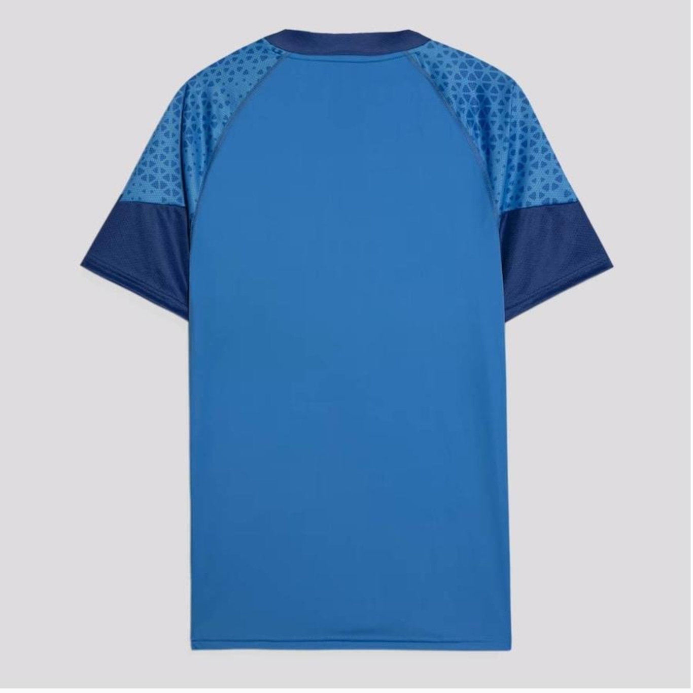 Camisa Puma Palmeiras Treino 2024 - Masculina - Foto 2