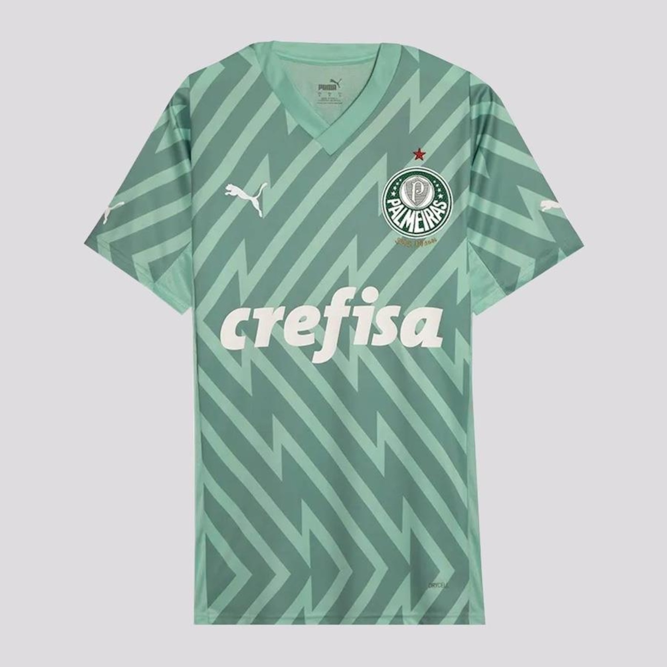 Camisa de Goleiro Puma Palmeiras Goleiro II 2024 - Masculina - Foto 1