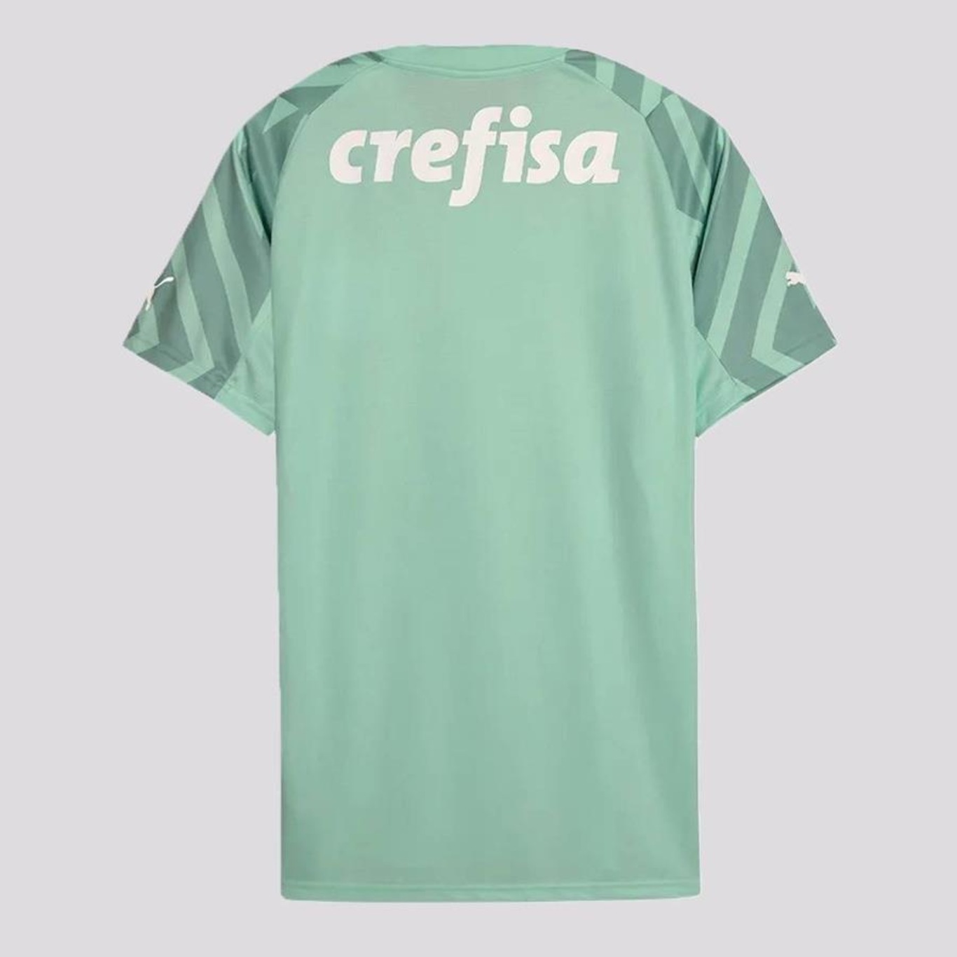 Camisa de Goleiro Puma Palmeiras Goleiro II 2024 - Masculina - Foto 2