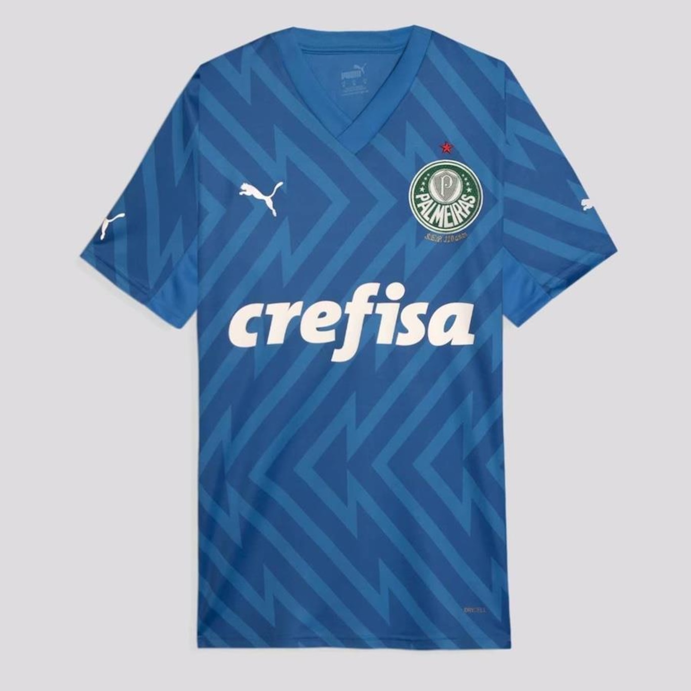 Camisa de Goleiro Puma Palmeiras I 2024 - Masculina - Foto 1