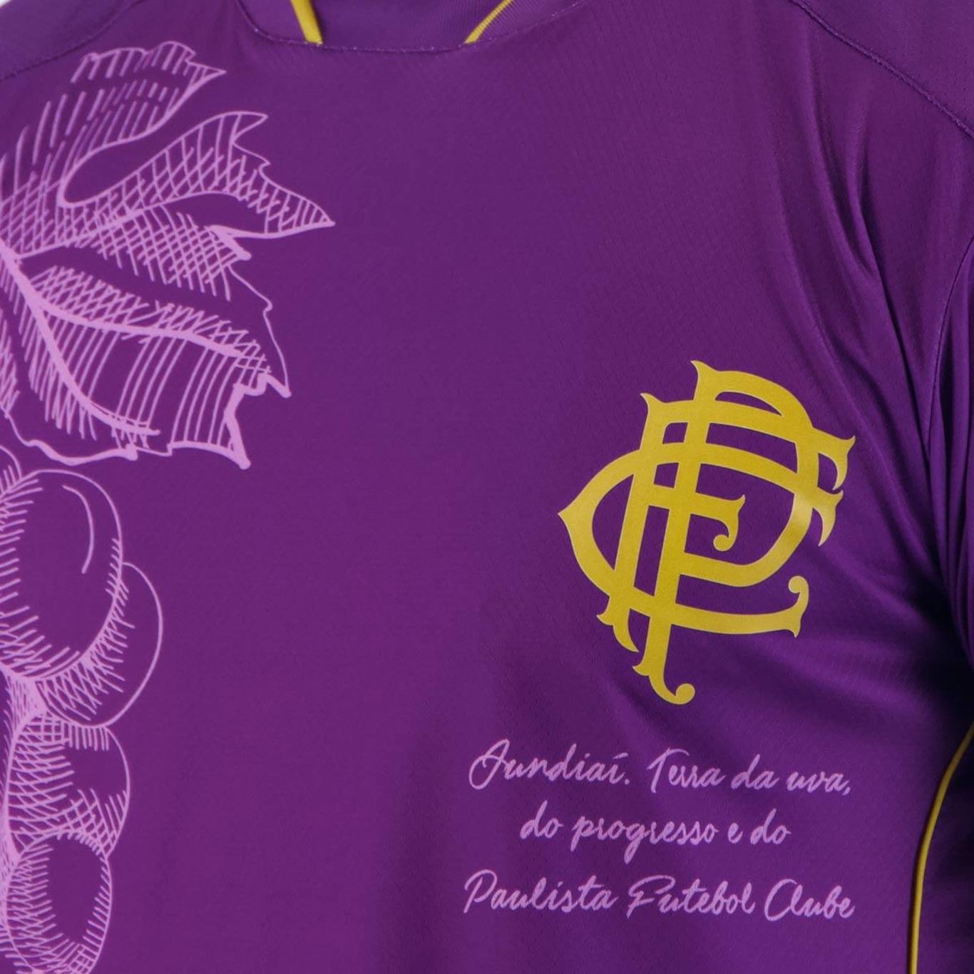 Camisa Junpe Paulista De Jundiaí Iii 2024 - Masculina - Foto 5