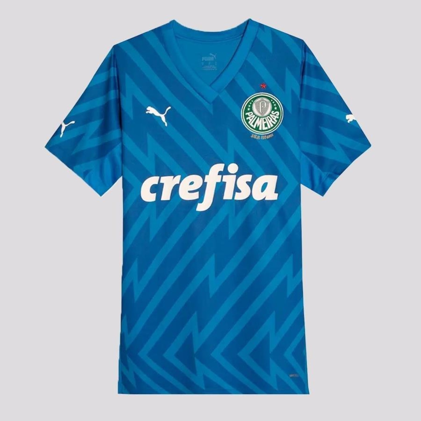 Camisa de Goleiro do Palmeiras I 2024 Puma - Infantil - Foto 1