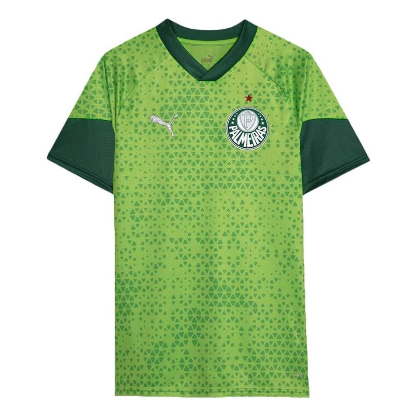 Camisa do Palmeiras 2024 Puma - Masculina - Foto 1