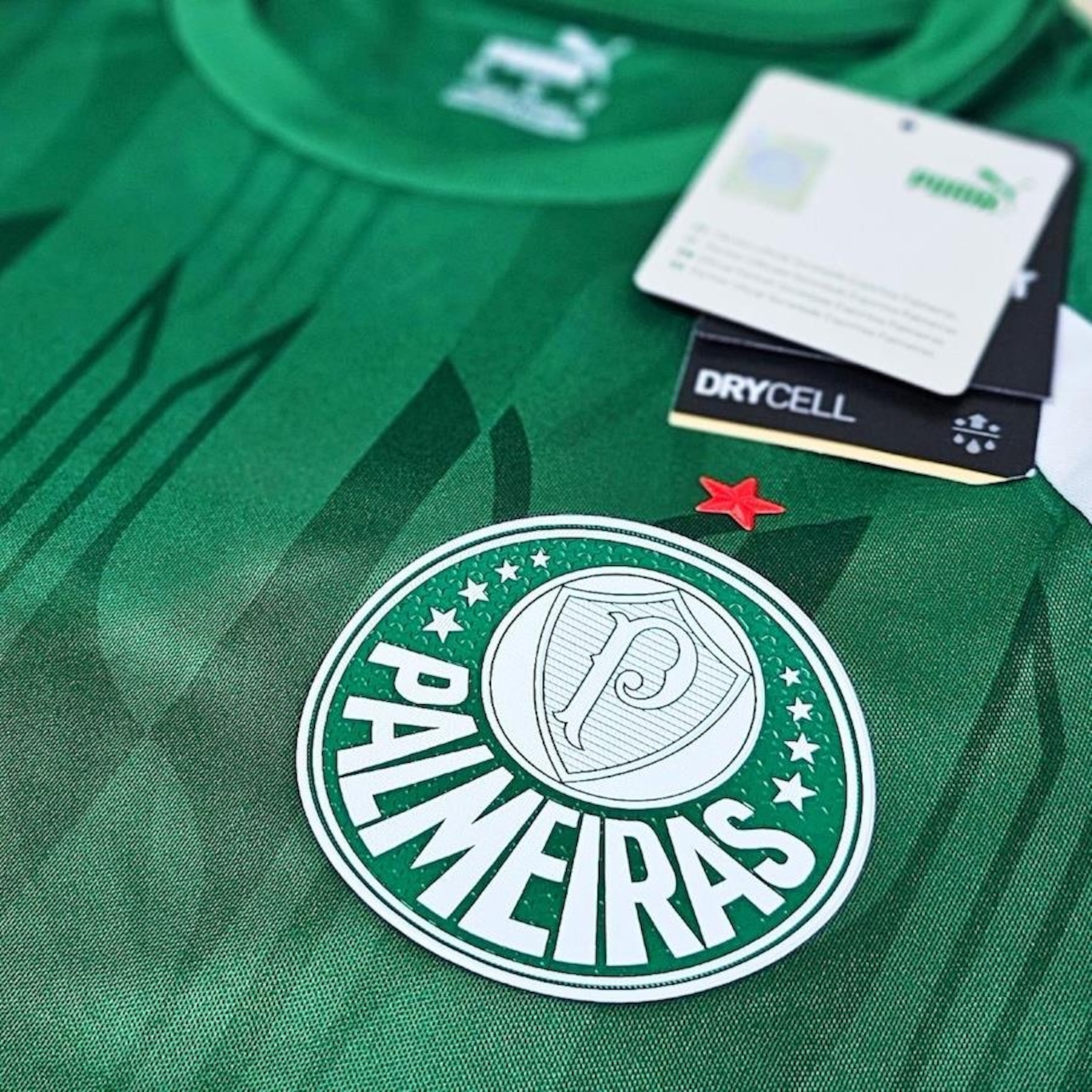 Camisa do Palmeiras Puma 2024 Pré-Jogo - Masculina - Foto 4