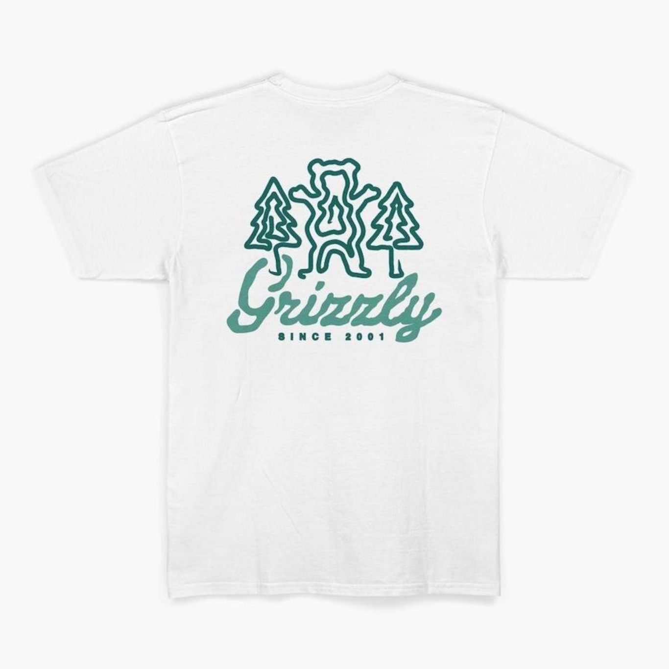 Camiseta Grizzly Windy Creek Ss Tee - Masculino - Foto 3