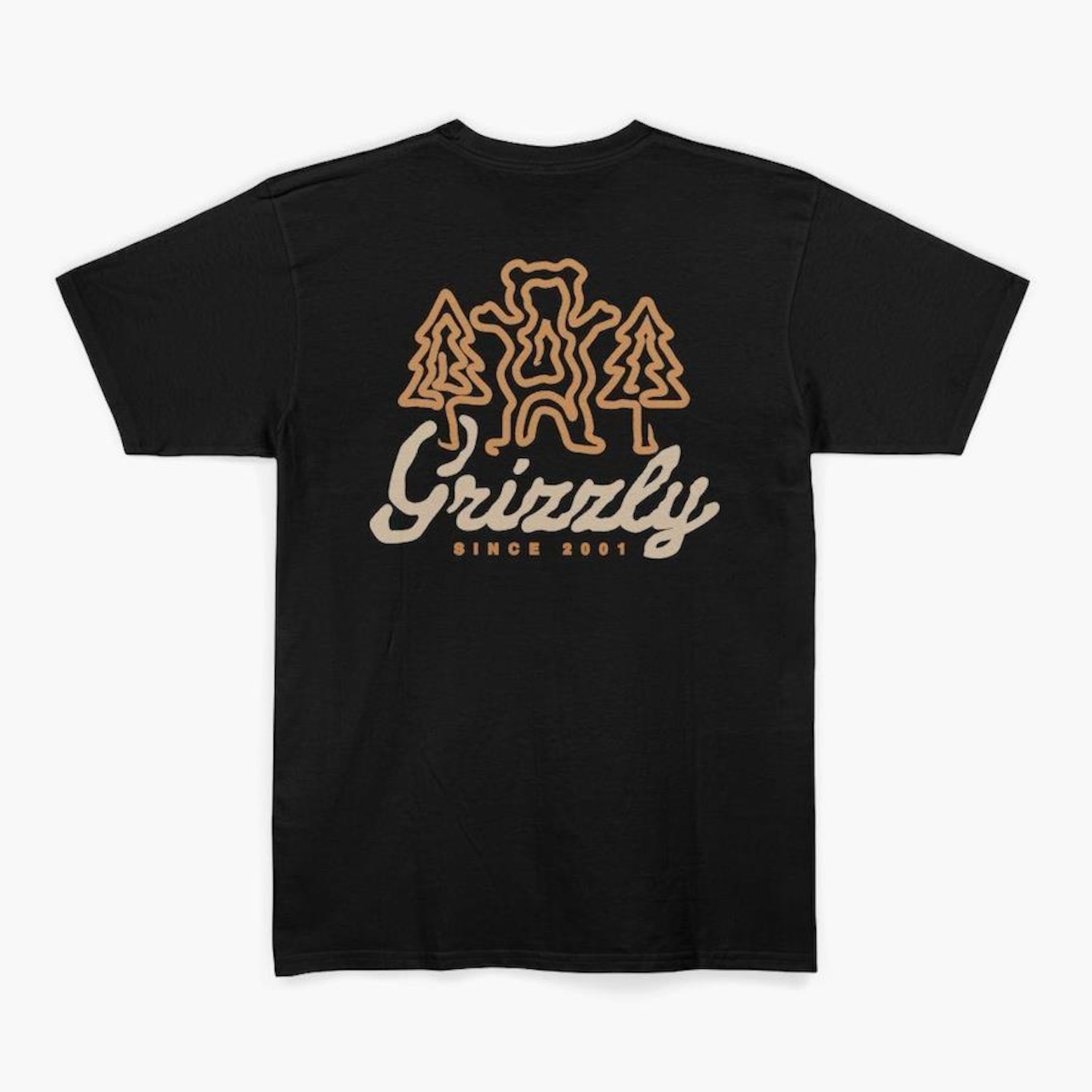 Camiseta Grizzly Windy Creek Ss Tee - Masculino - Foto 3