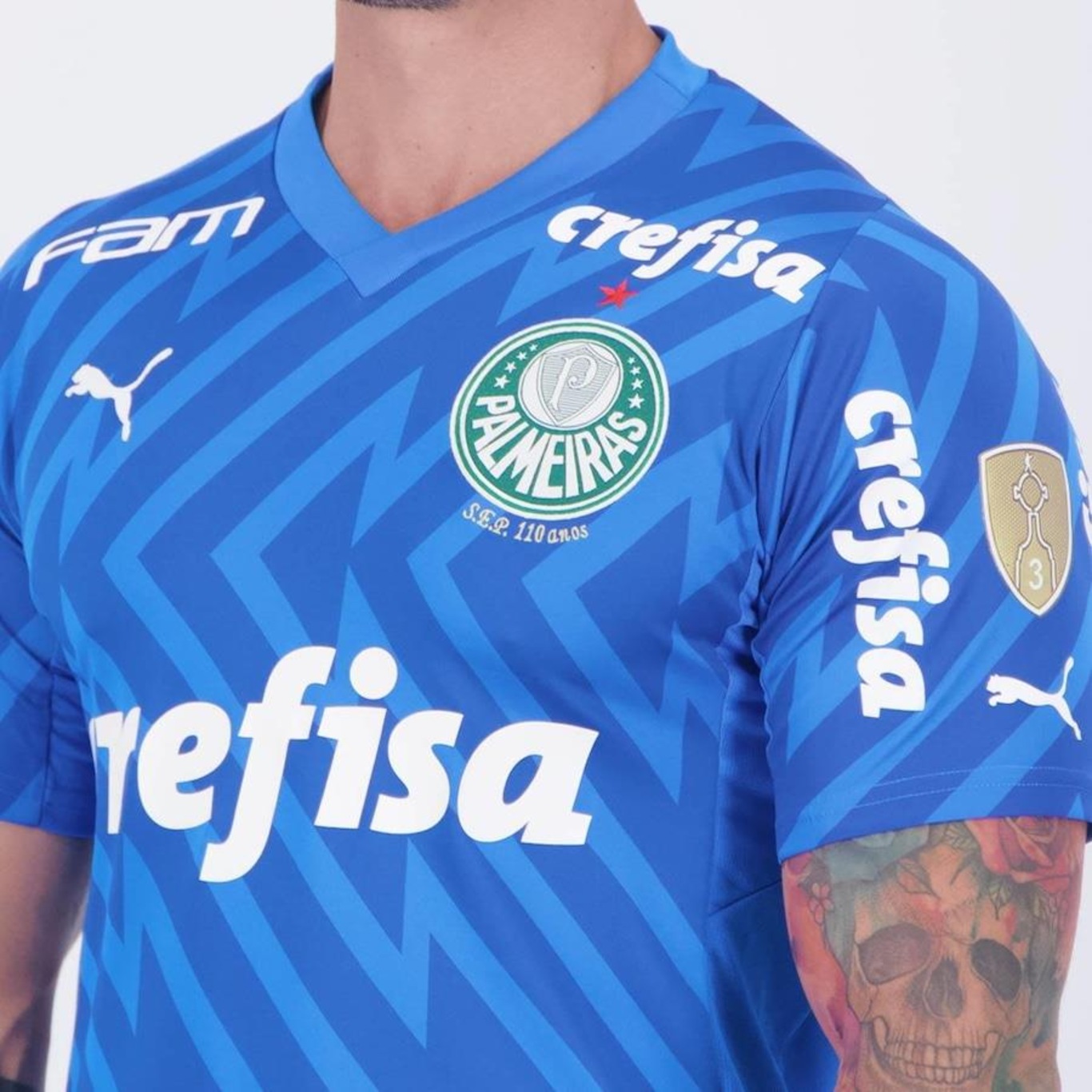 Camisa de Goleiro do Palmeiras I 2024 Patch Libertadores Puma - Masculina - Foto 5