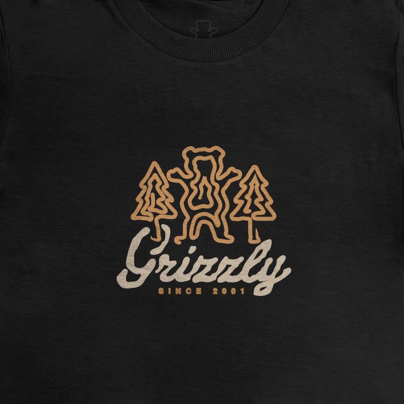 Camiseta Feminina Grizzly Windy Creek - Foto 2