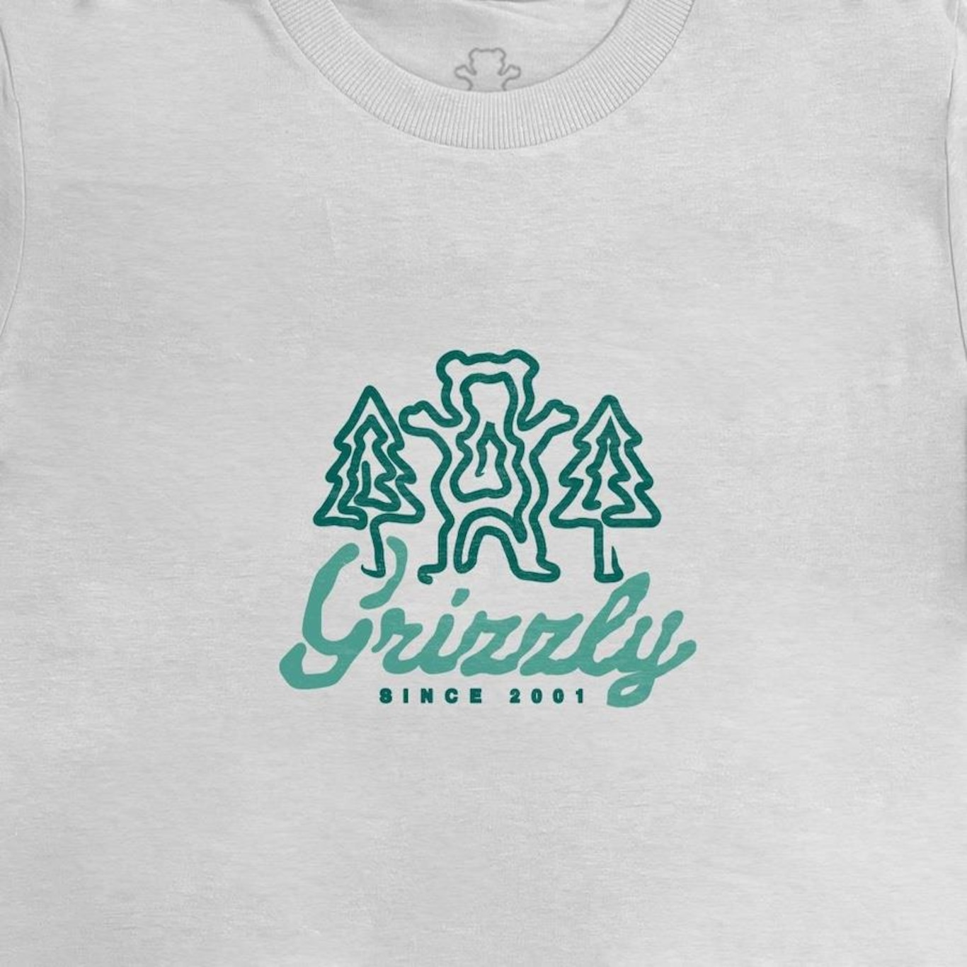 Camiseta Feminina Grizzly Windy Creek - Foto 2