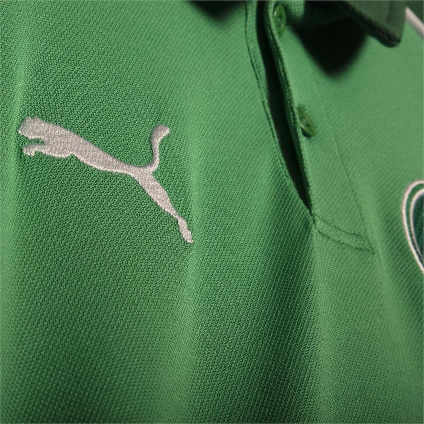 Camisa Polo do Palmeiras 2024 Casual Puma - Masculina - Foto 3