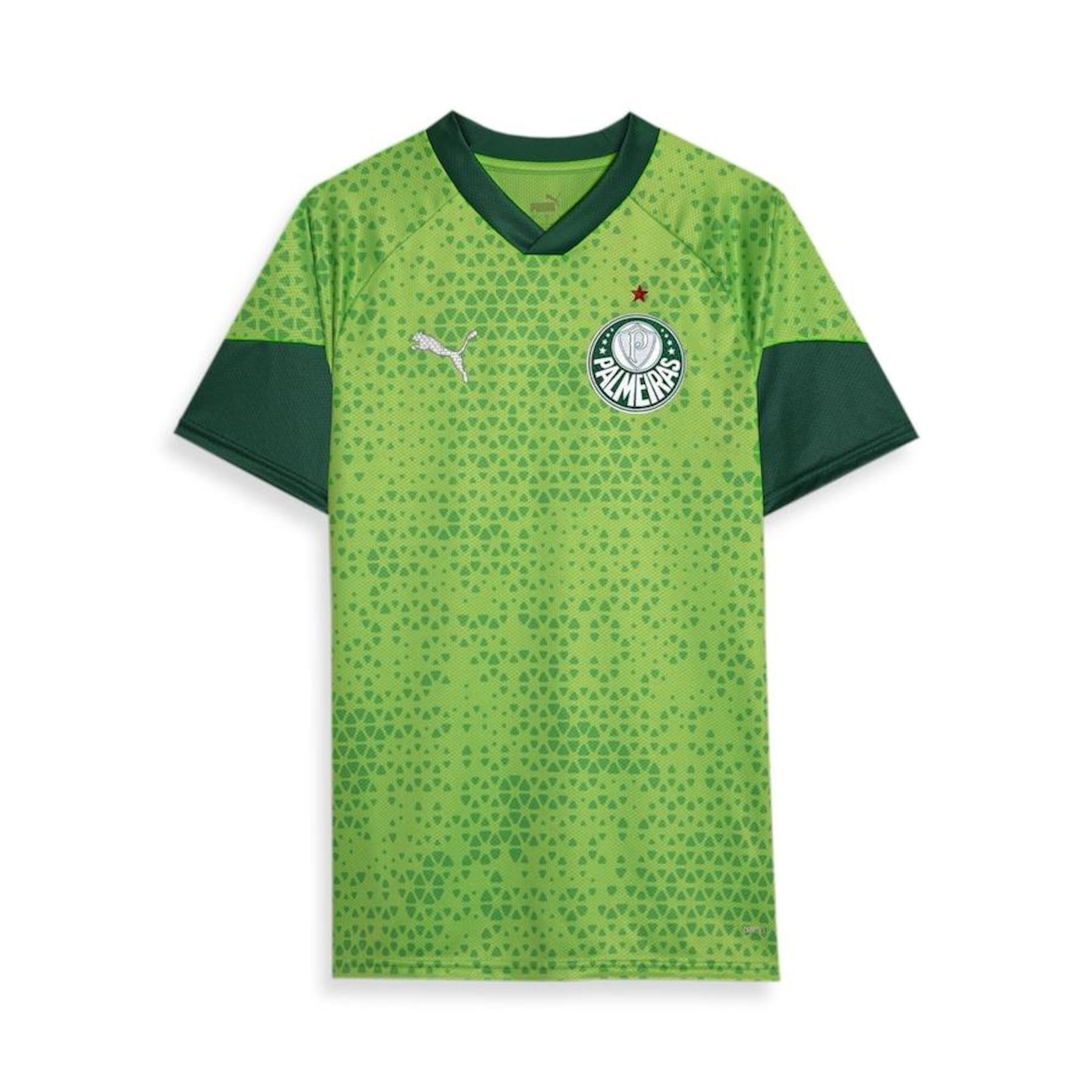 Camisa do Palmeiras 2024 Treino e Viagem - Masculina - Foto 1