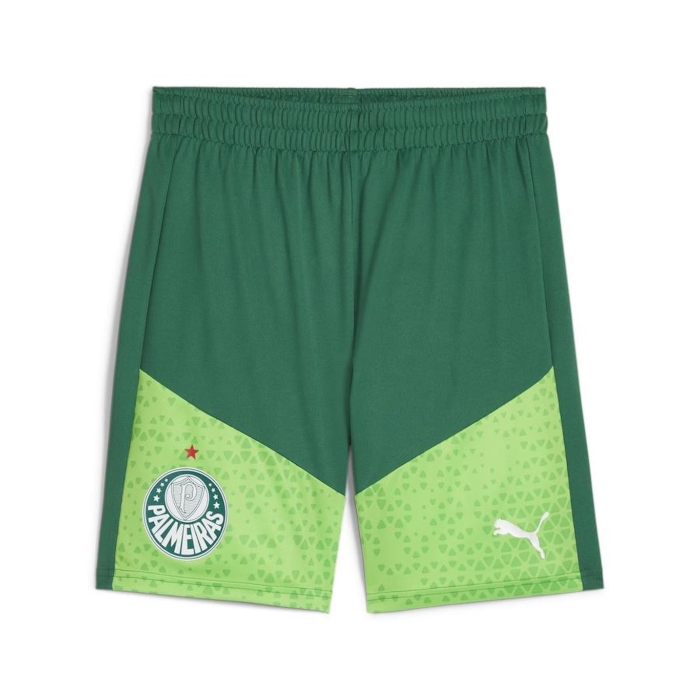 Shorts de Treino do Palmeiras sem Bolso 2024 Puma - Masculino - Foto 1