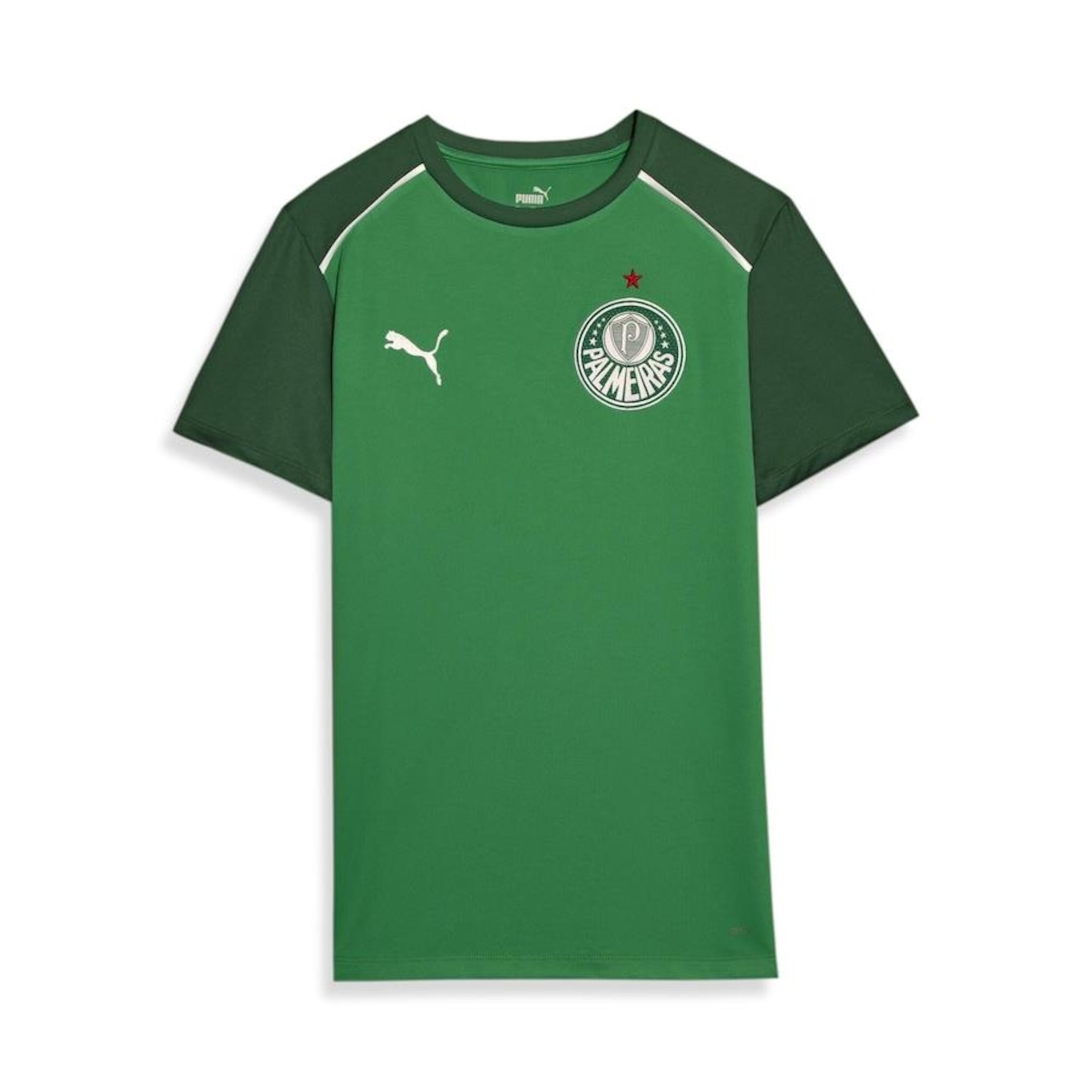 Camiseta do Palmeiras 2024 Puma - Masculina - Foto 1