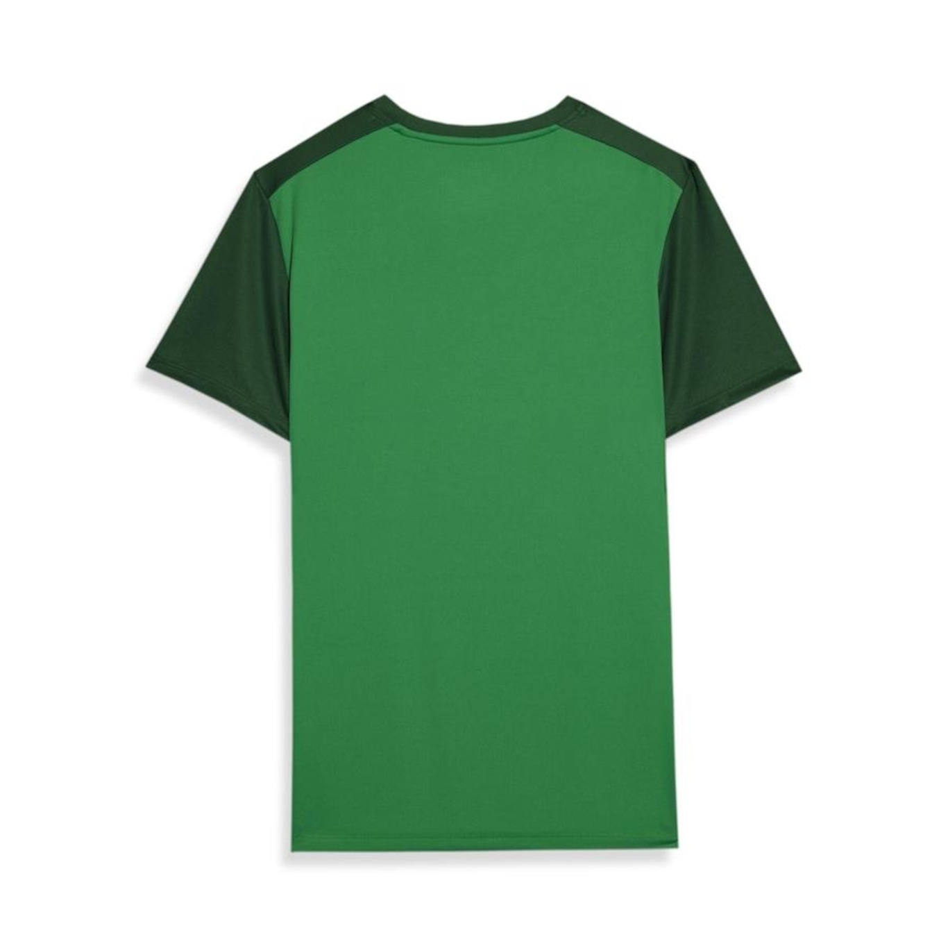 Camiseta do Palmeiras 2024 Puma - Masculina - Foto 2