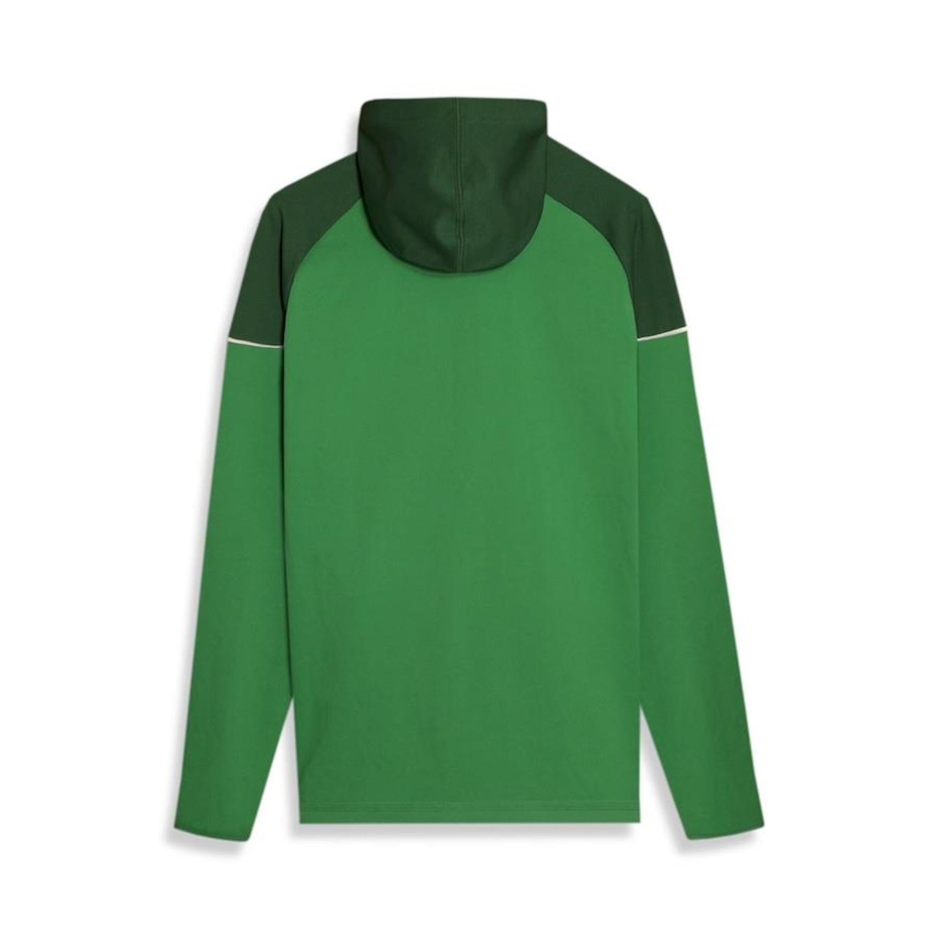 Jaqueta com Capuz do Palmeiras 2024 Puma Casual - Masculina - Foto 2