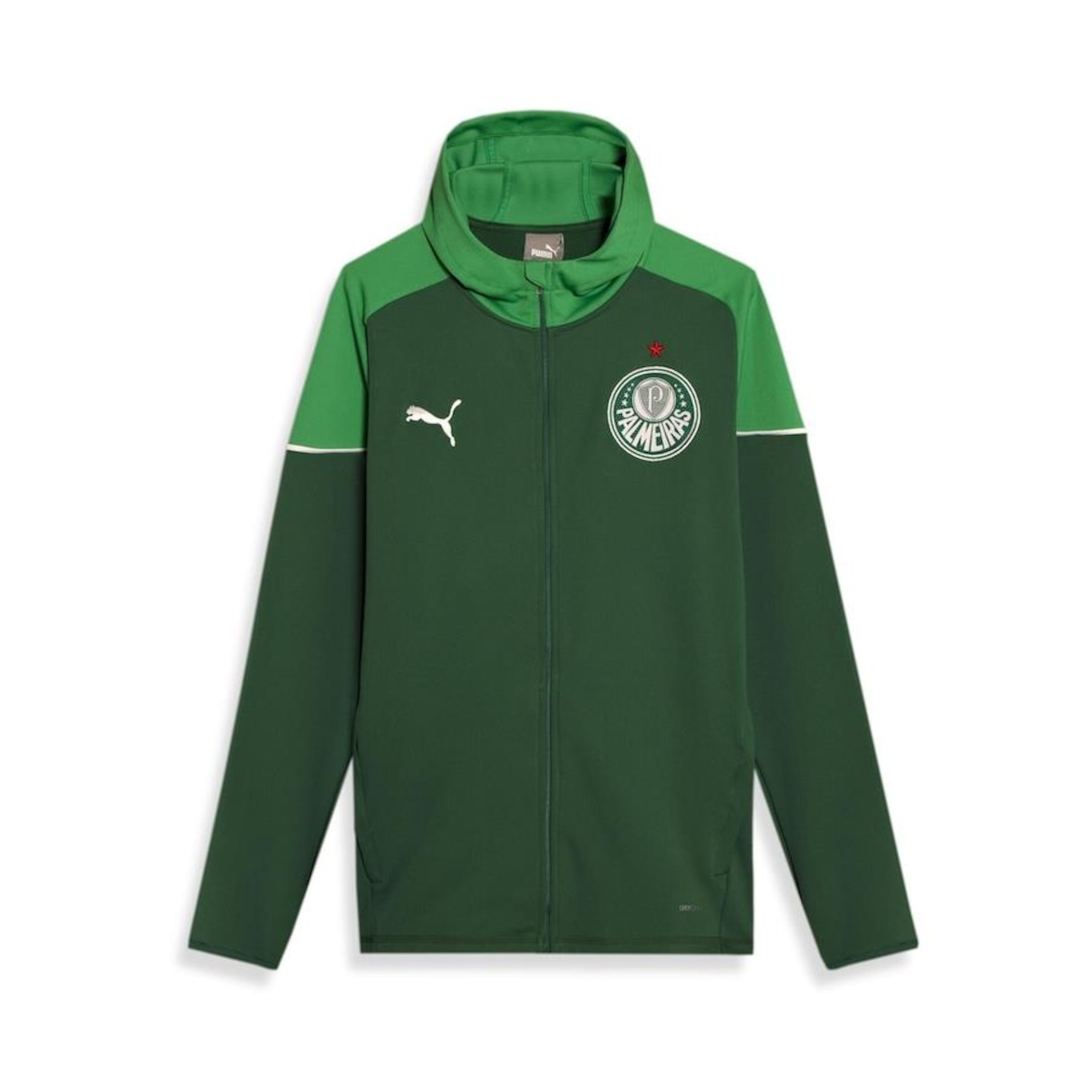 Jaqueta com Capuz do Palmeiras 2024 Puma Casual - Masculina - Foto 1