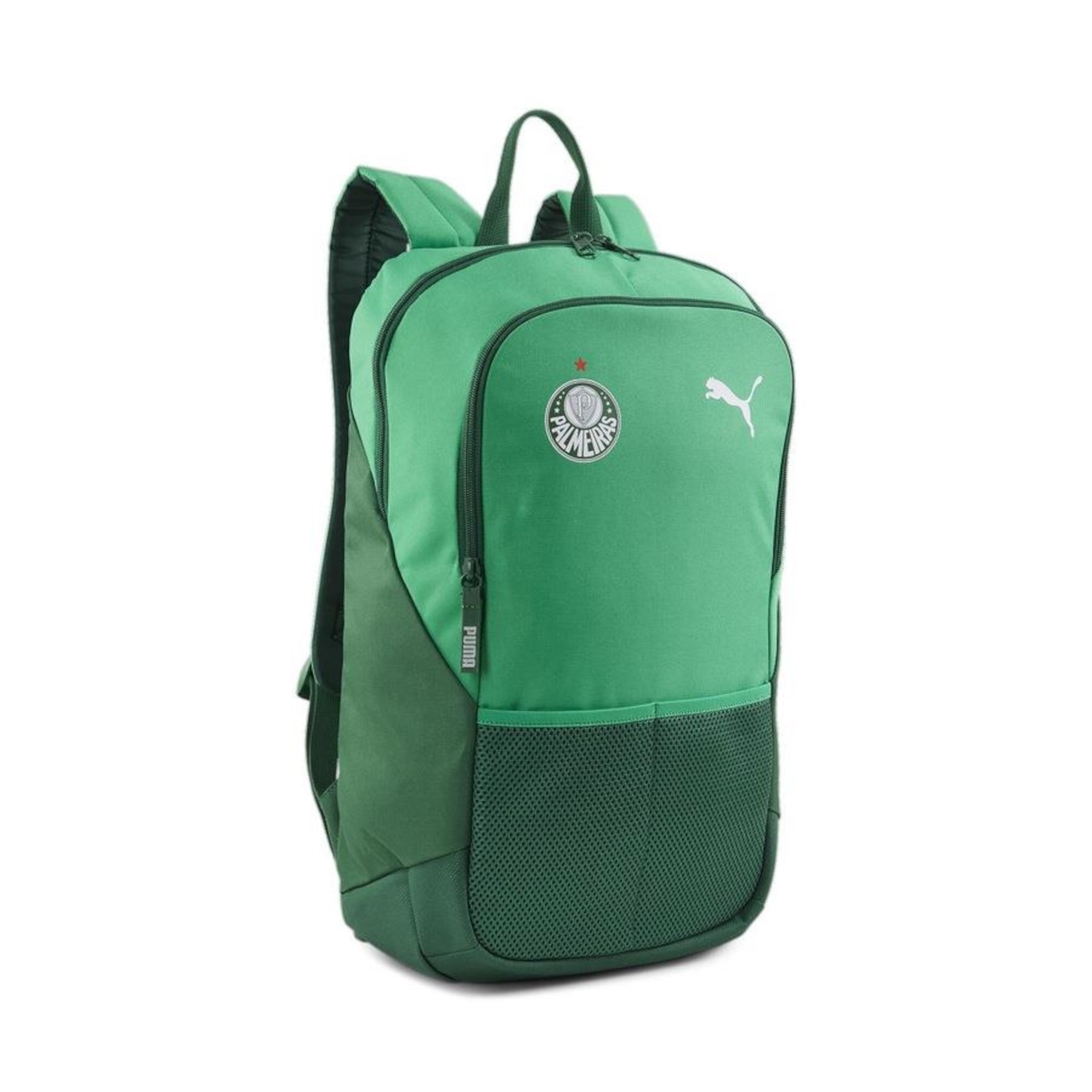 Mochila do Palmeiras Backpack 2024 Puma - Foto 1