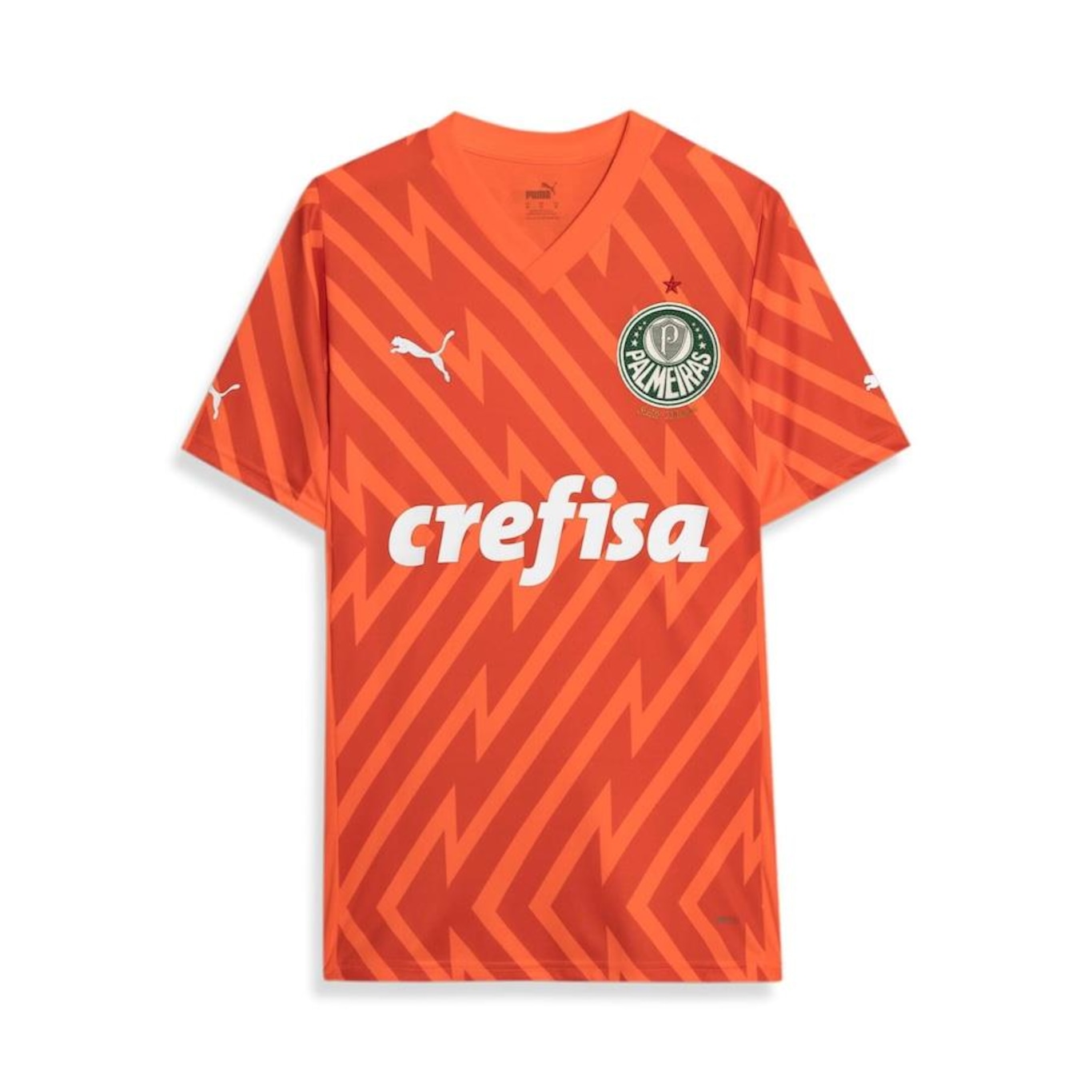 Camisa de Goleiro do Palmeiras 3 Third 2024 Torcedor Puma - Masculina - Foto 1