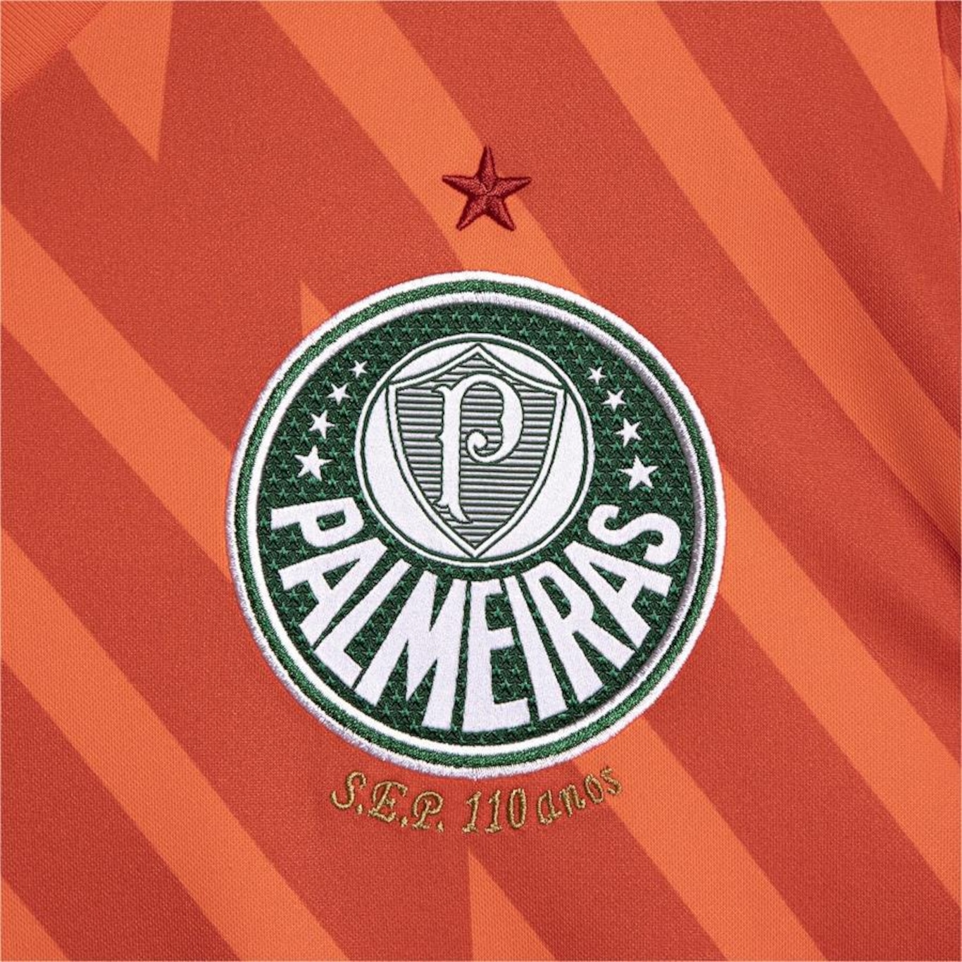 Camisa de Goleiro do Palmeiras 3 Third 2024 Torcedor Puma - Masculina - Foto 3