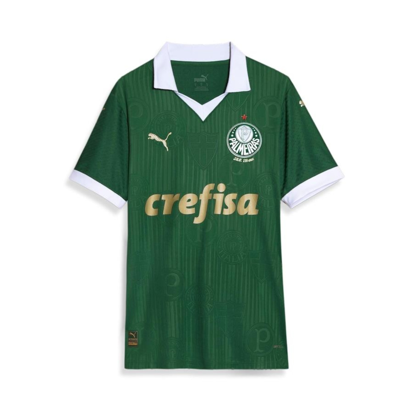 Camisa do Palmeiras 1 Home Jogador 24/25 Puma - Feminina - Foto 1