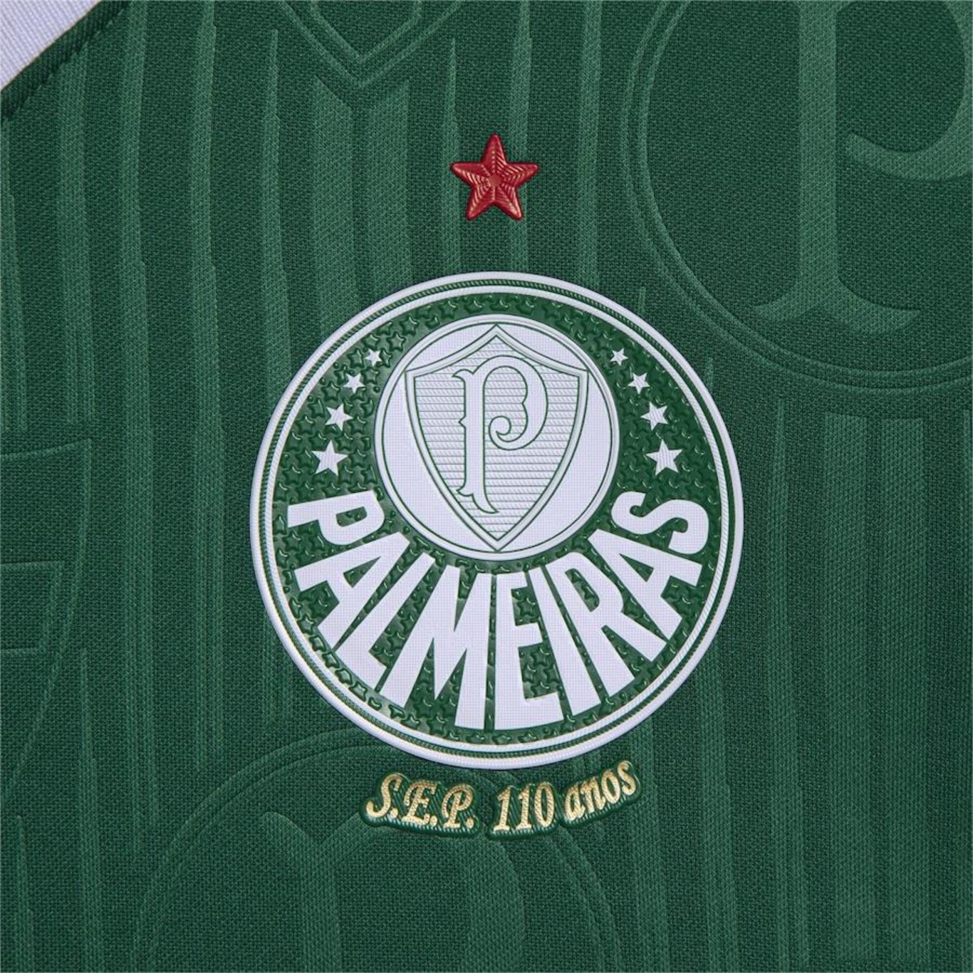 Camisa do Palmeiras 1 Home Jogador 24/25 Puma - Feminina - Foto 4