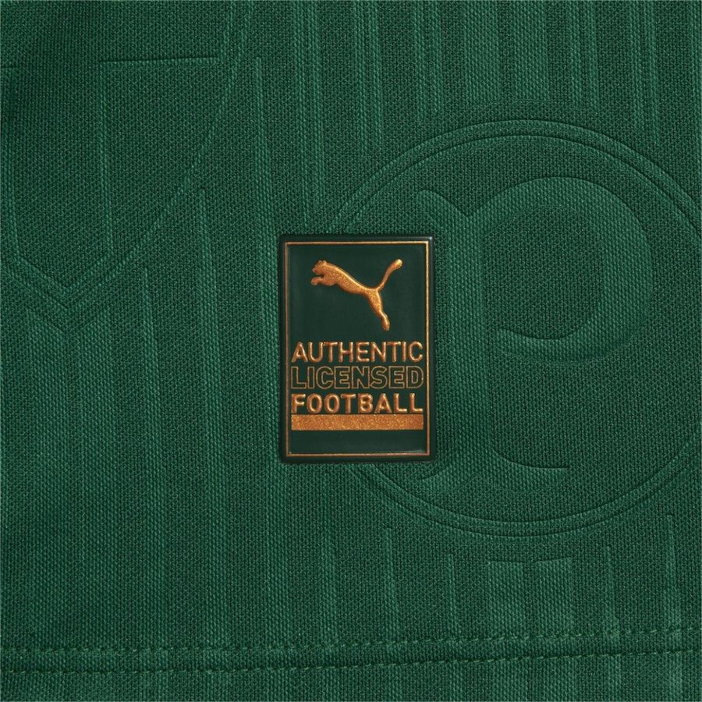 Camisa do Palmeiras 1 Home Jogador 24/25 Puma - Feminina - Foto 6