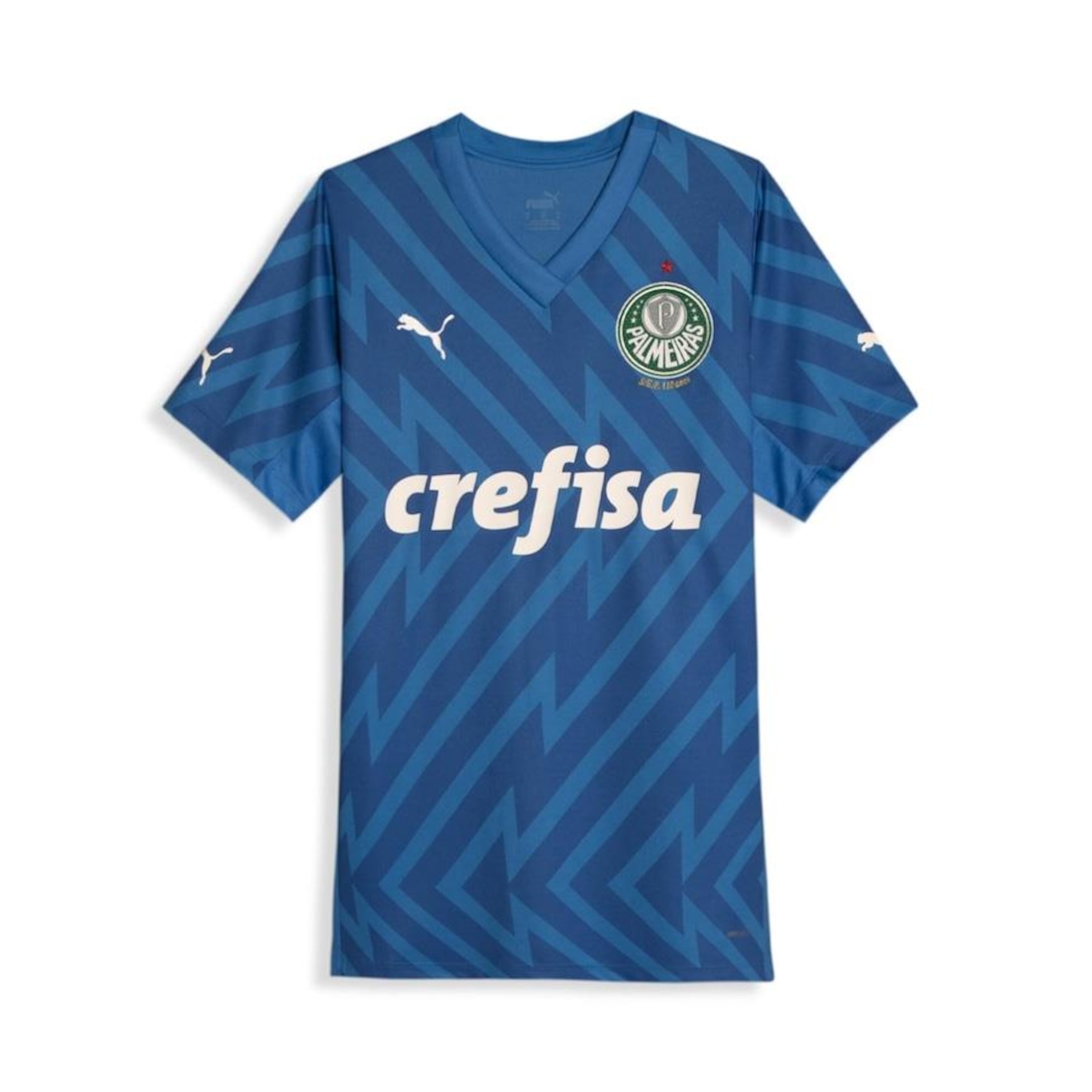 Camisa de Goleiro do Palmeiras 1 Home Torcedor - Feminina - Foto 1