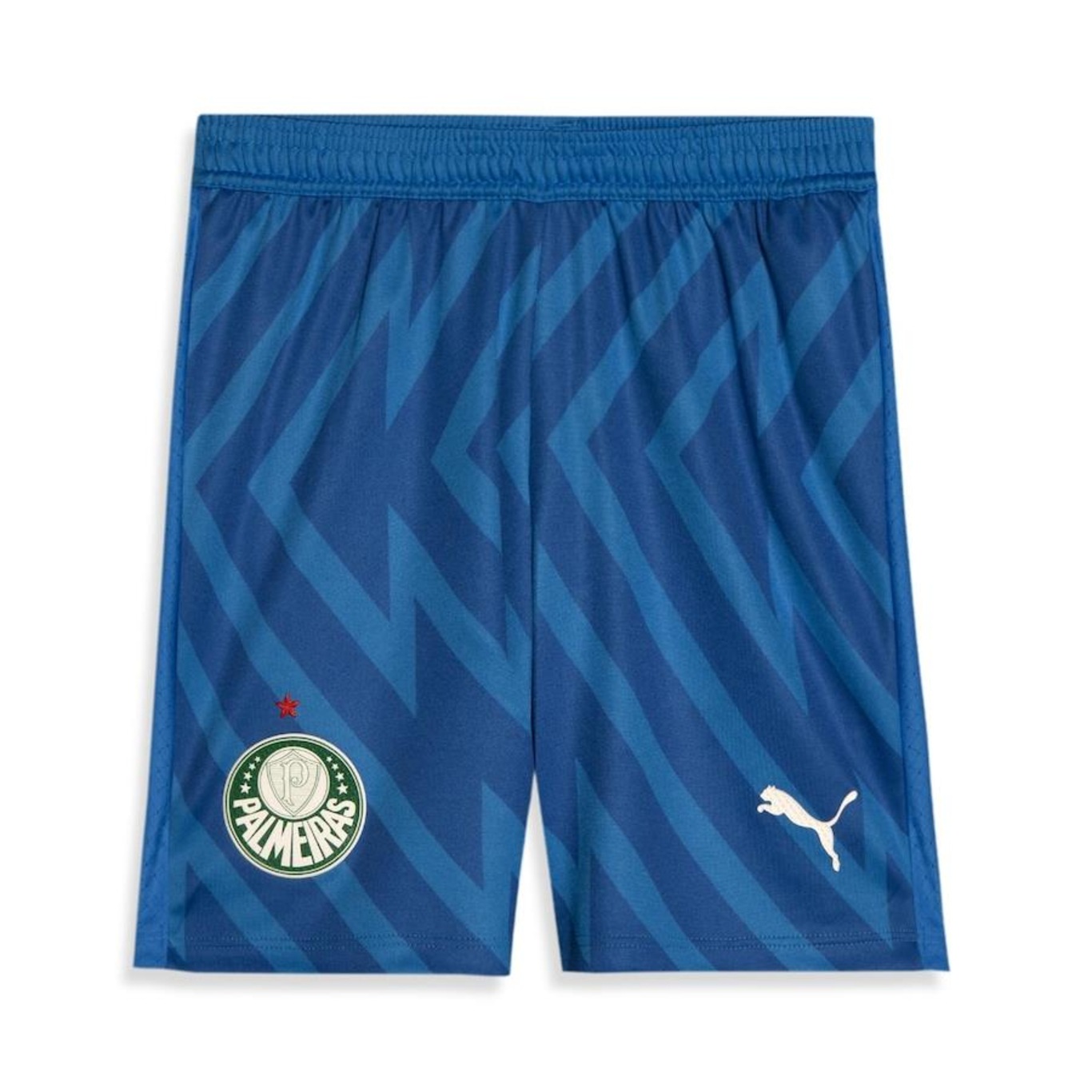 Shorts de Goleiro do Palmeiras 3 Third Jogador 24/25 - Masculino - Foto 1