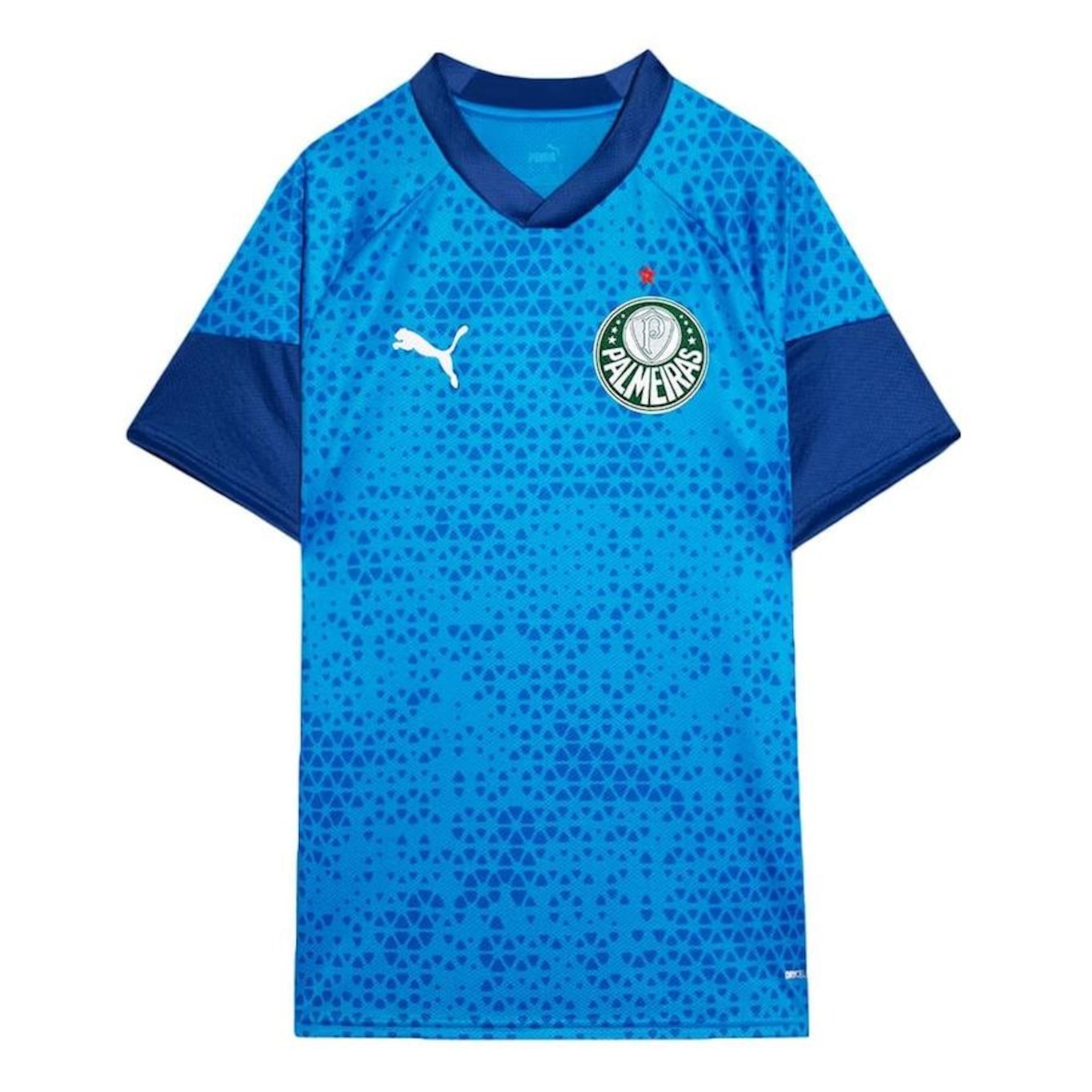 Camisa do Palmeiras 2024 Puma Treino e Viagem - Masculina - Foto 1