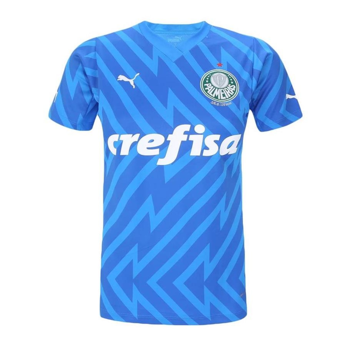 Camisa de Goleiro Puma Palmeiras I 24/25 Torcedora - Feminina - Foto 1