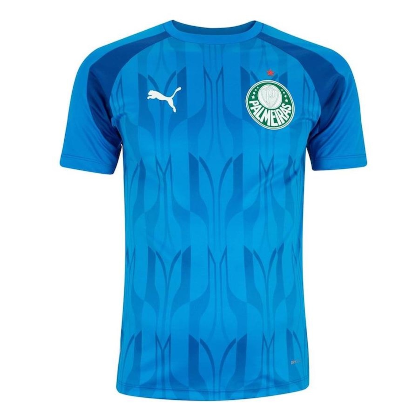 Camisa Pré-Jogo do Palmeiras 2024 Puma - Masculina - Foto 1