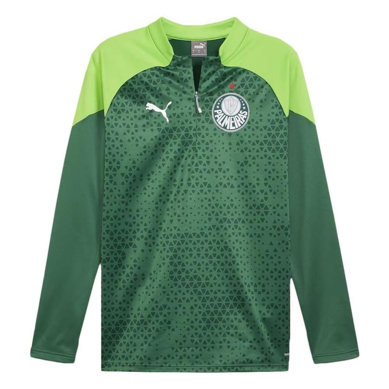 Camiseta Manga Longa Puma Palmeiras Fleece 2024 - Masculina - Foto 1