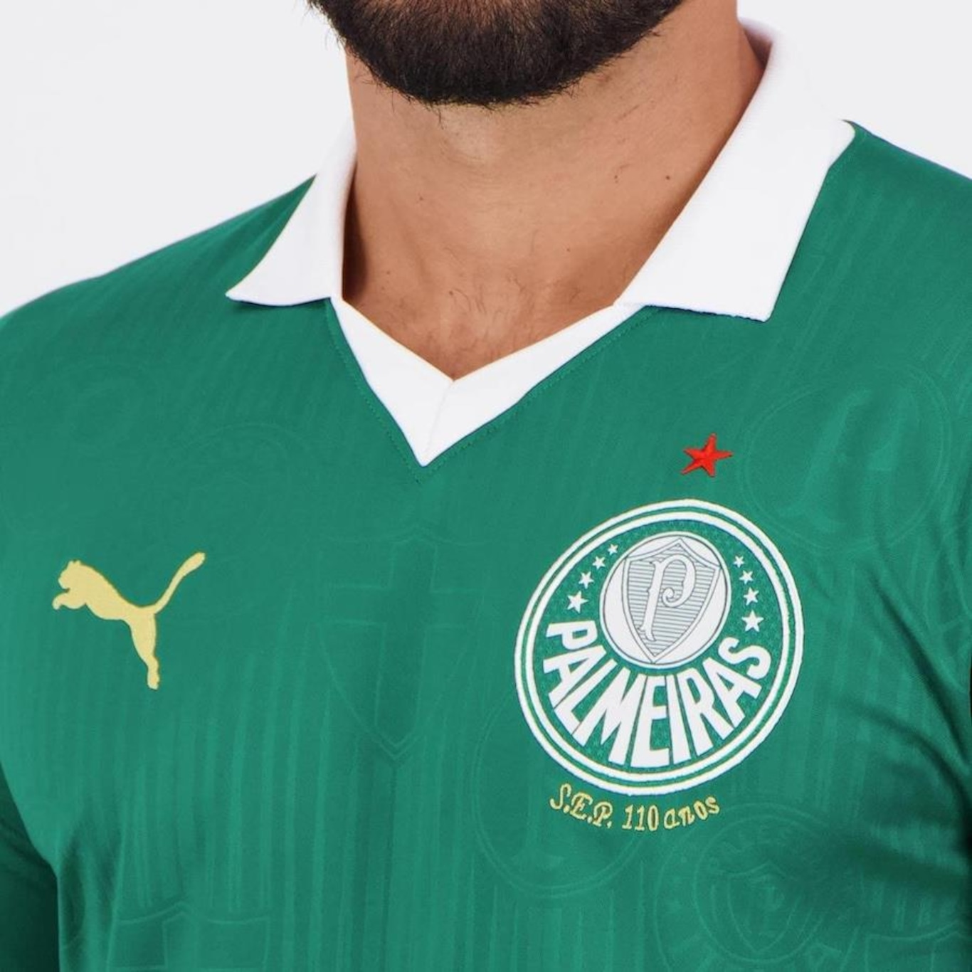 Camisa do Palmeiras I 2024 Puma 9 F. Anderson - Masculina - Foto 5