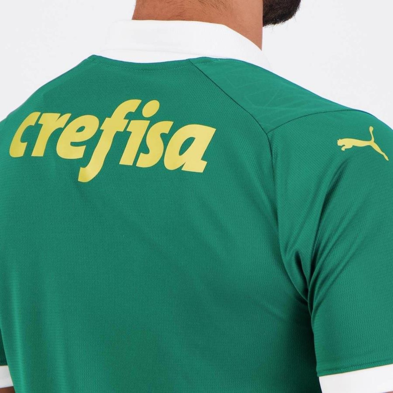 Camisa do Palmeiras I 2024 Puma 9 F. Anderson - Masculina - Foto 6