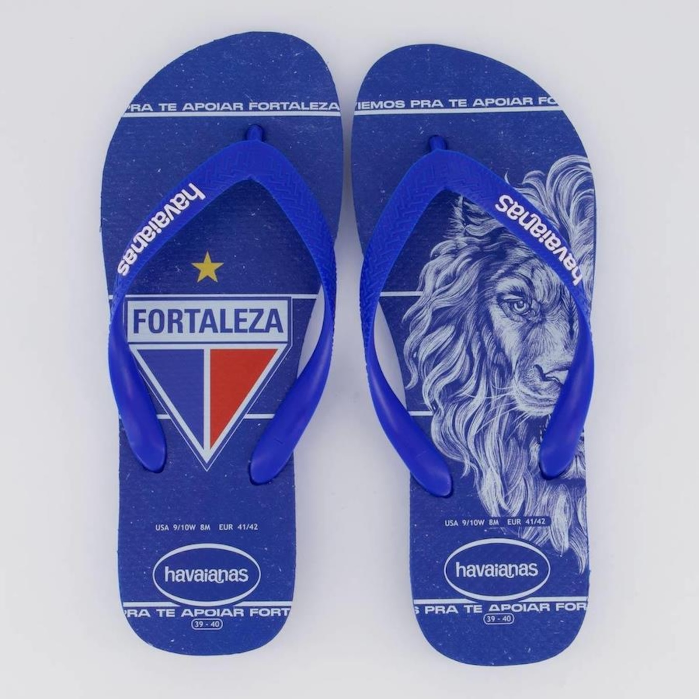 Chinelo Havaianas Fortaleza - Masculino - Foto 1