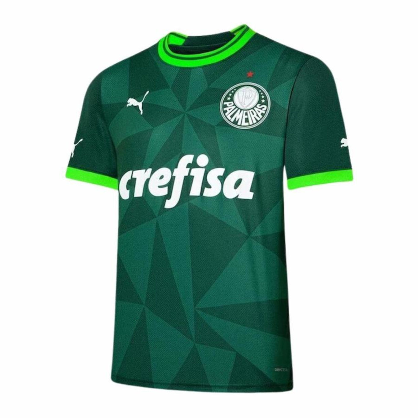 Camisa do Palmeiras I 2023 Puma Home Torcedor - Masculina - Foto 1