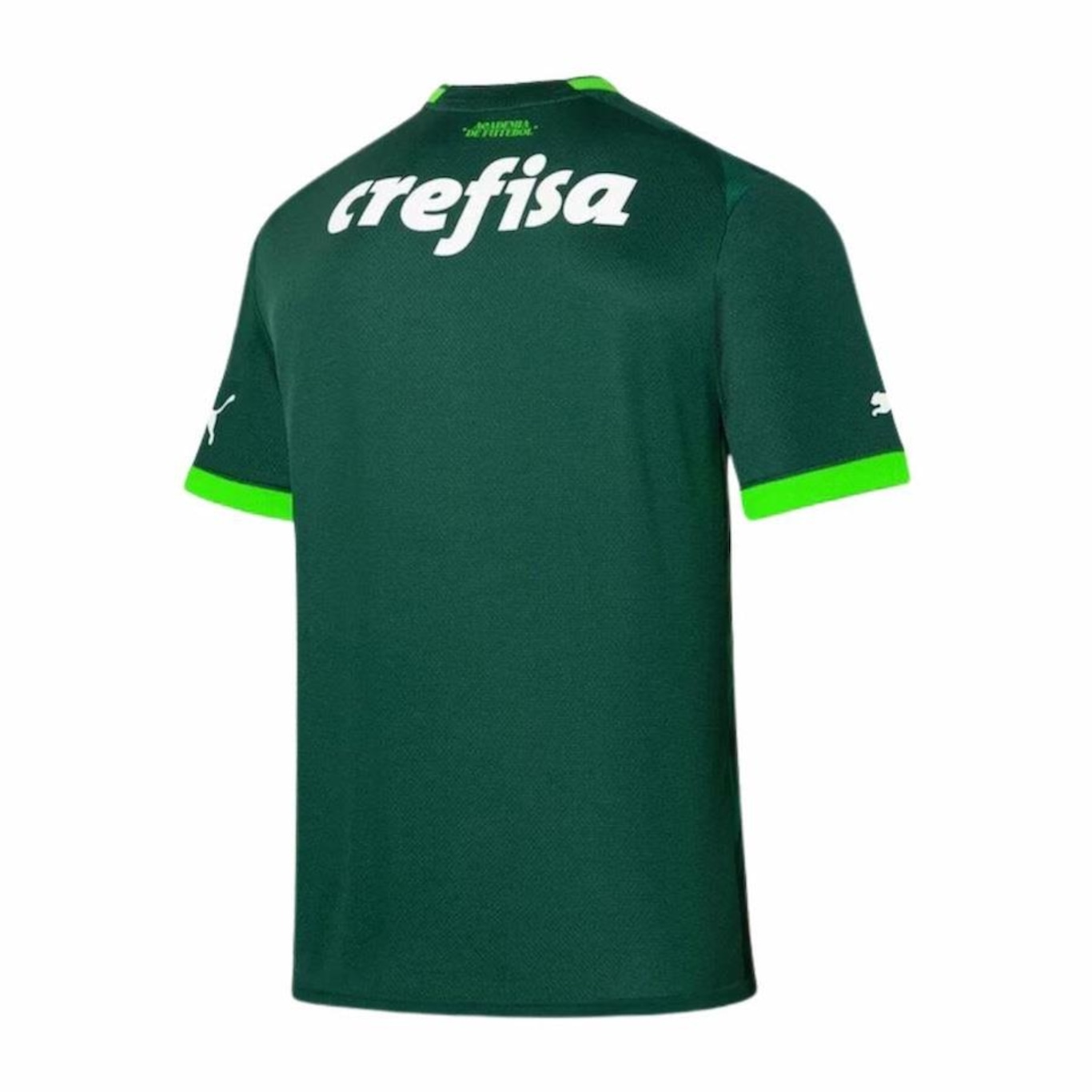 Camisa do Palmeiras I 2023 Puma Home Torcedor - Masculina - Foto 2