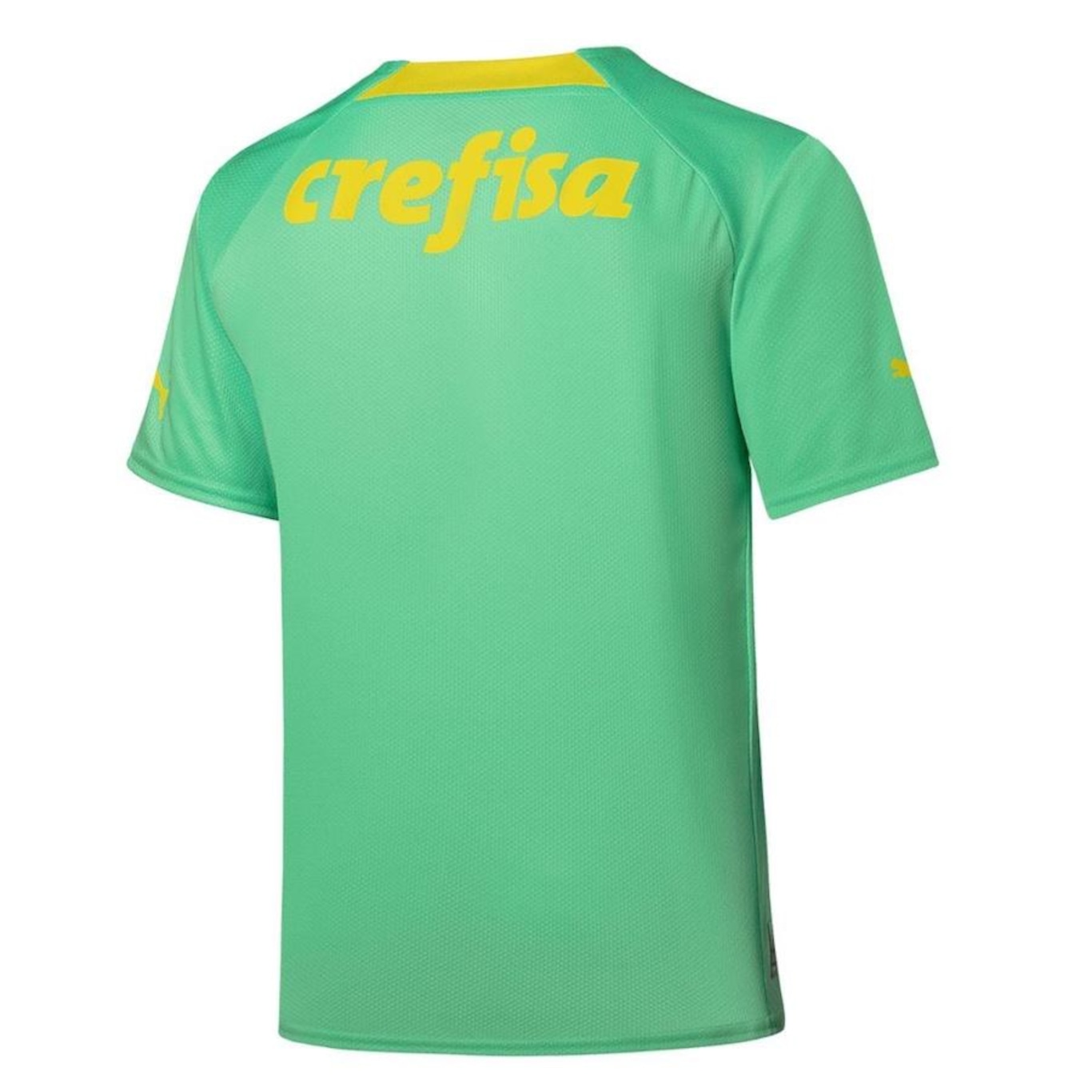 Camisa do Palmeiras Iii 22/23 Puma Jogador - Masculina - Foto 2