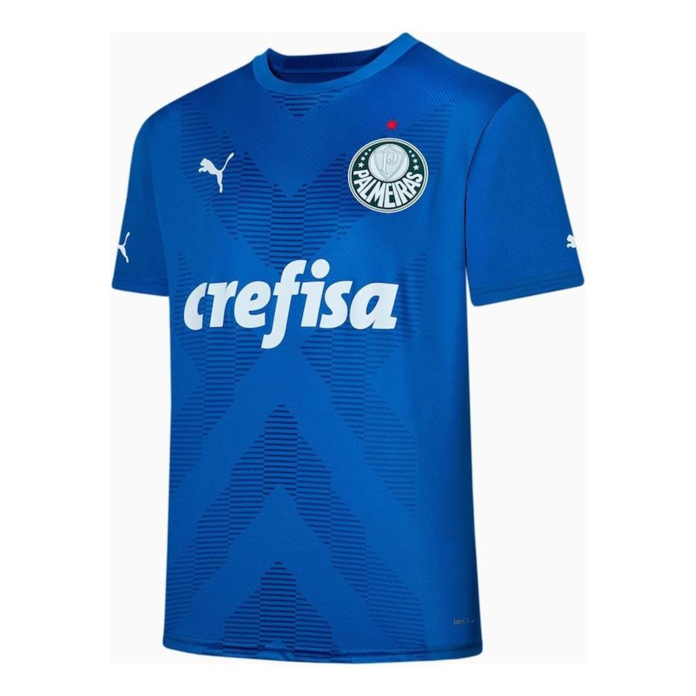 Camisa de Goleiro do Palmeiras Torcedor Puma - Masculina - Foto 1