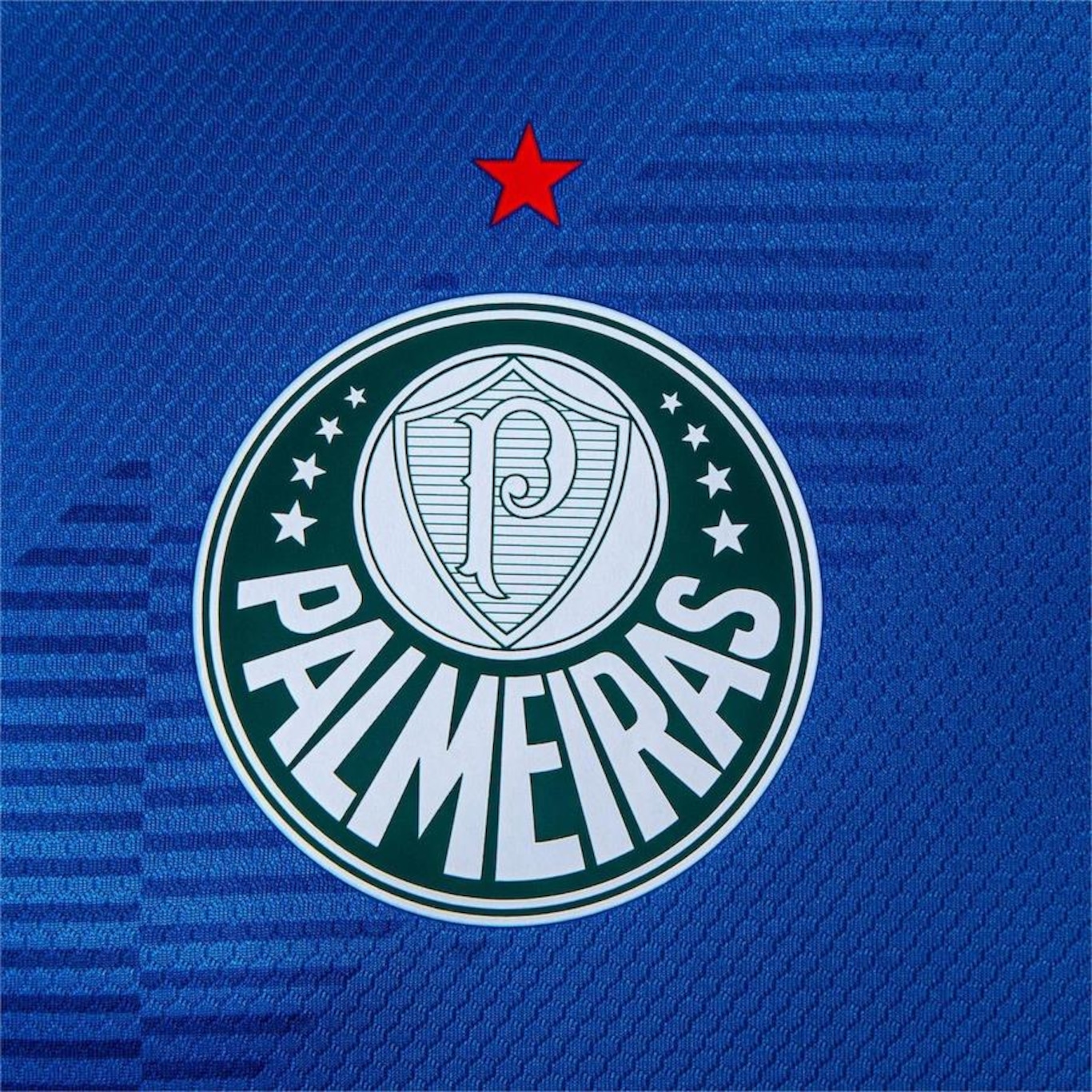 Camisa de Goleiro do Palmeiras Torcedor Puma - Masculina - Foto 3