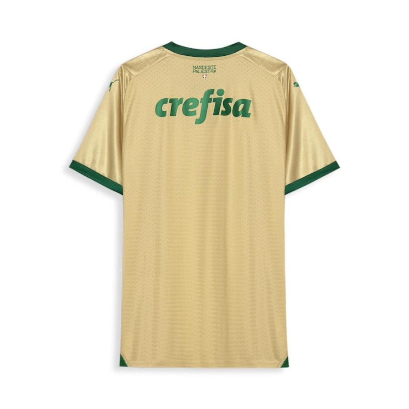 Camisa do Palmeiras Puma Jogador Third 2024 - Masculina - Foto 2