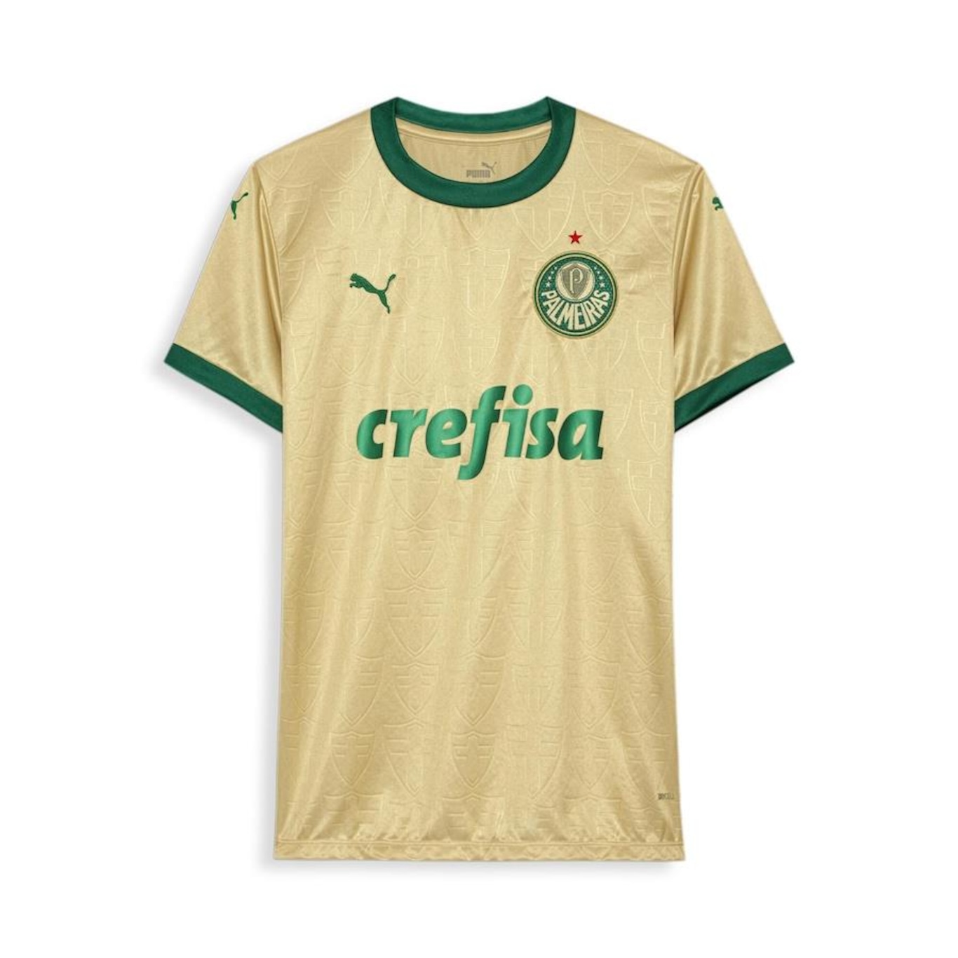 Camisa do Palmeiras Torcedor Third 2024 Puma - Feminina - Foto 1