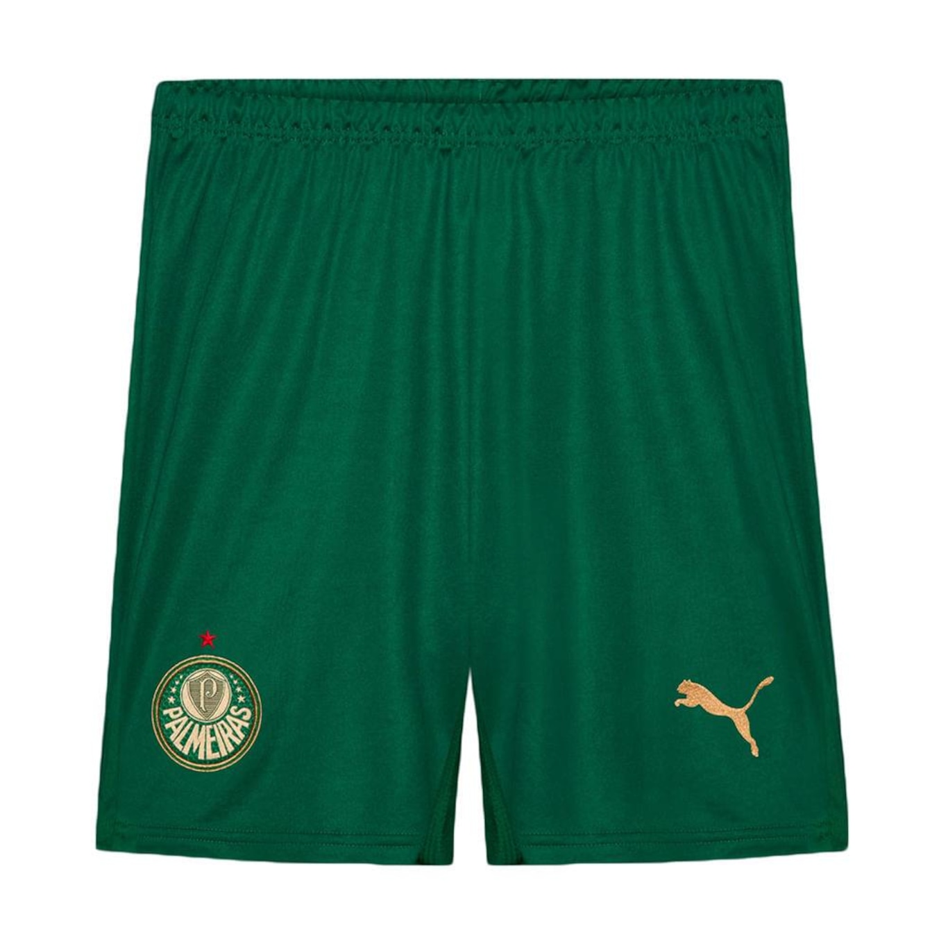 Calção Puma Palmeiras Iii 2024 Torcedor - Masculino - Foto 1