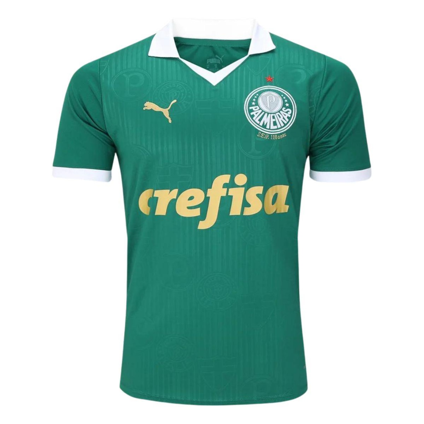 Camisa Puma Palmeiras I Home Verde 2024 - Masculina - Foto 1