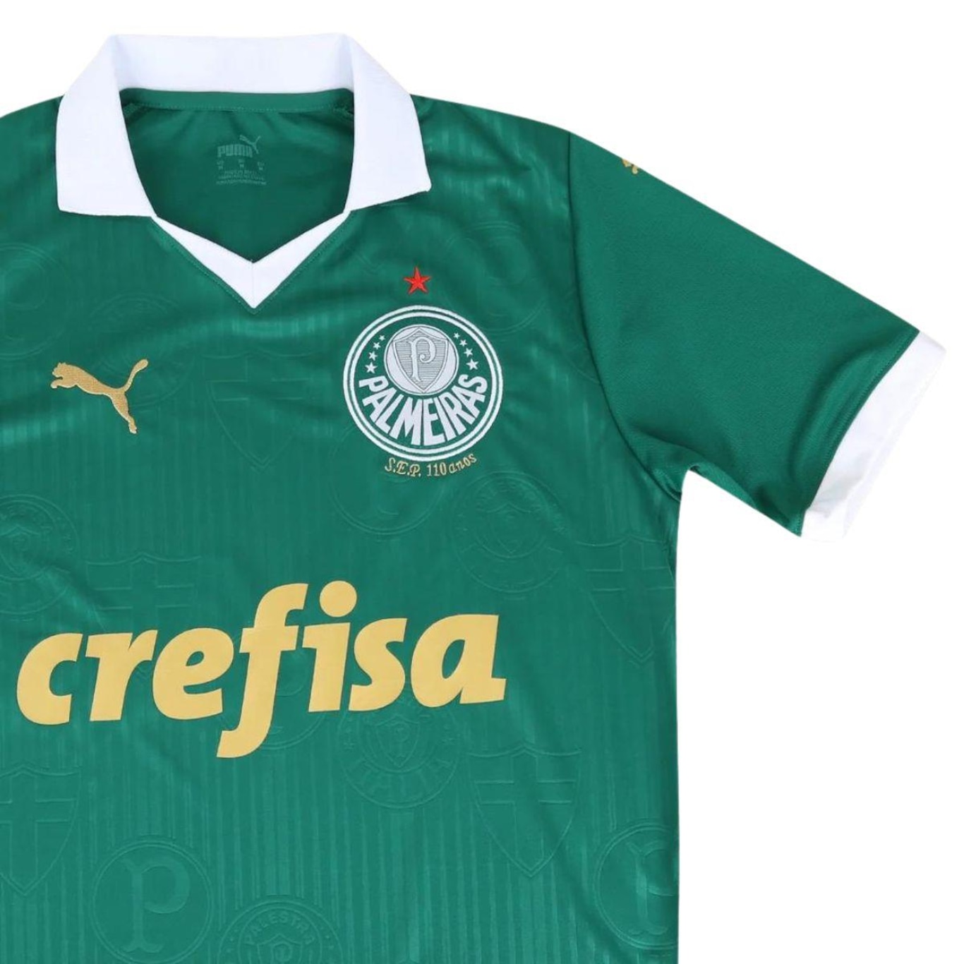 Camisa Puma Palmeiras I Home Verde 2024 - Masculina - Foto 3